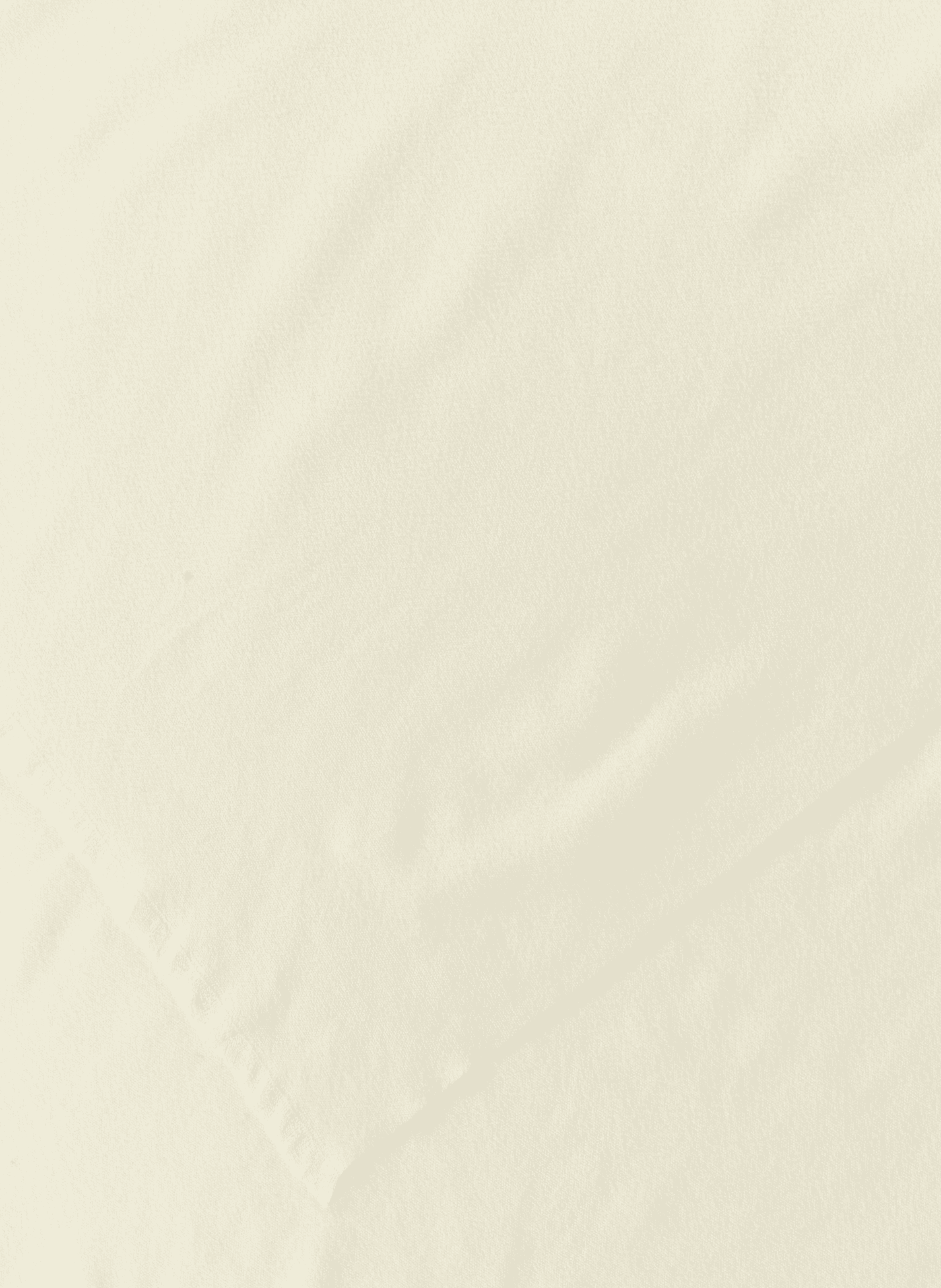 Echarpe douce unie AU PRINTEMPS PARIS Beige