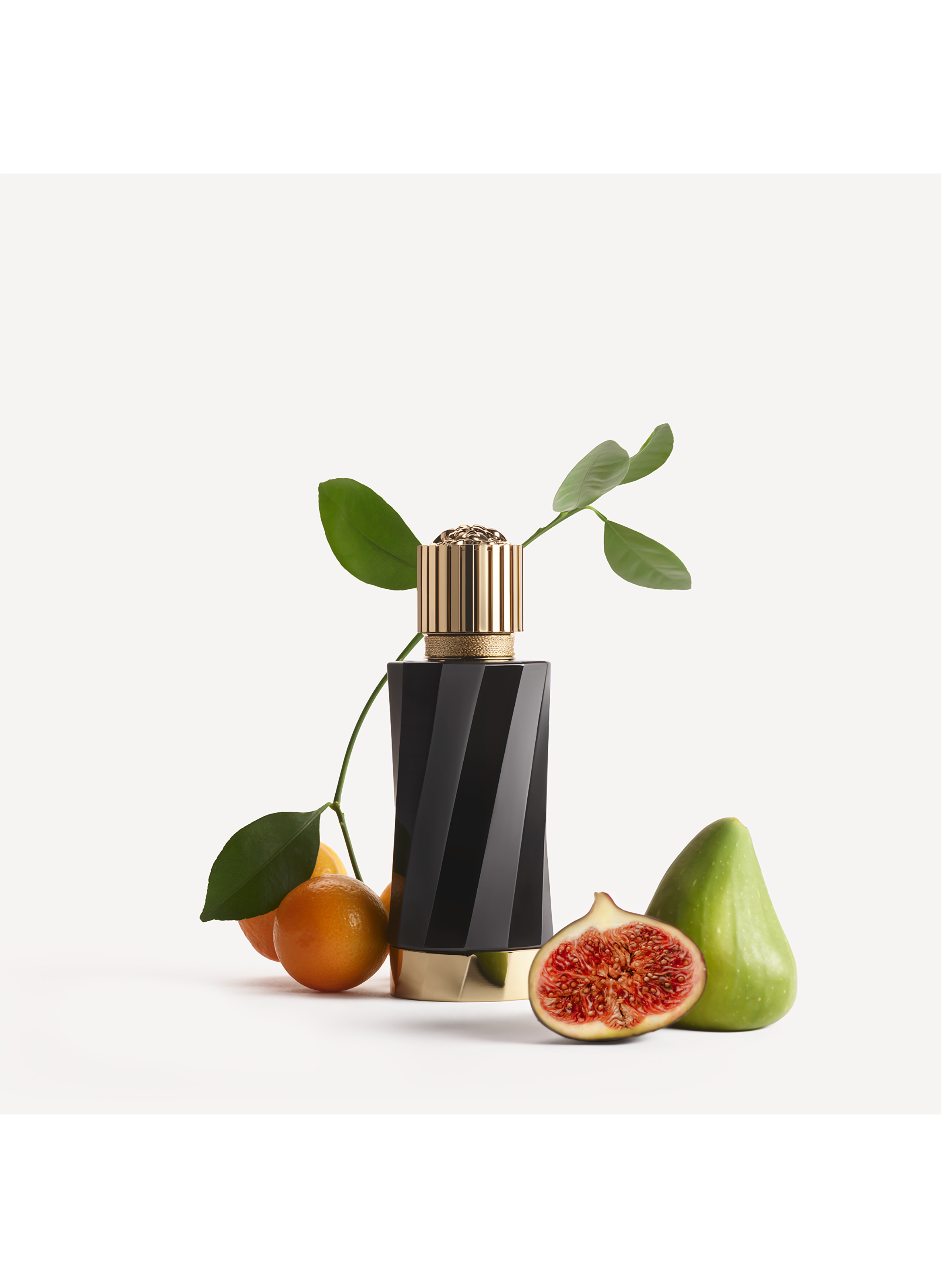 Atelier Versace White Fig VERSACE No color