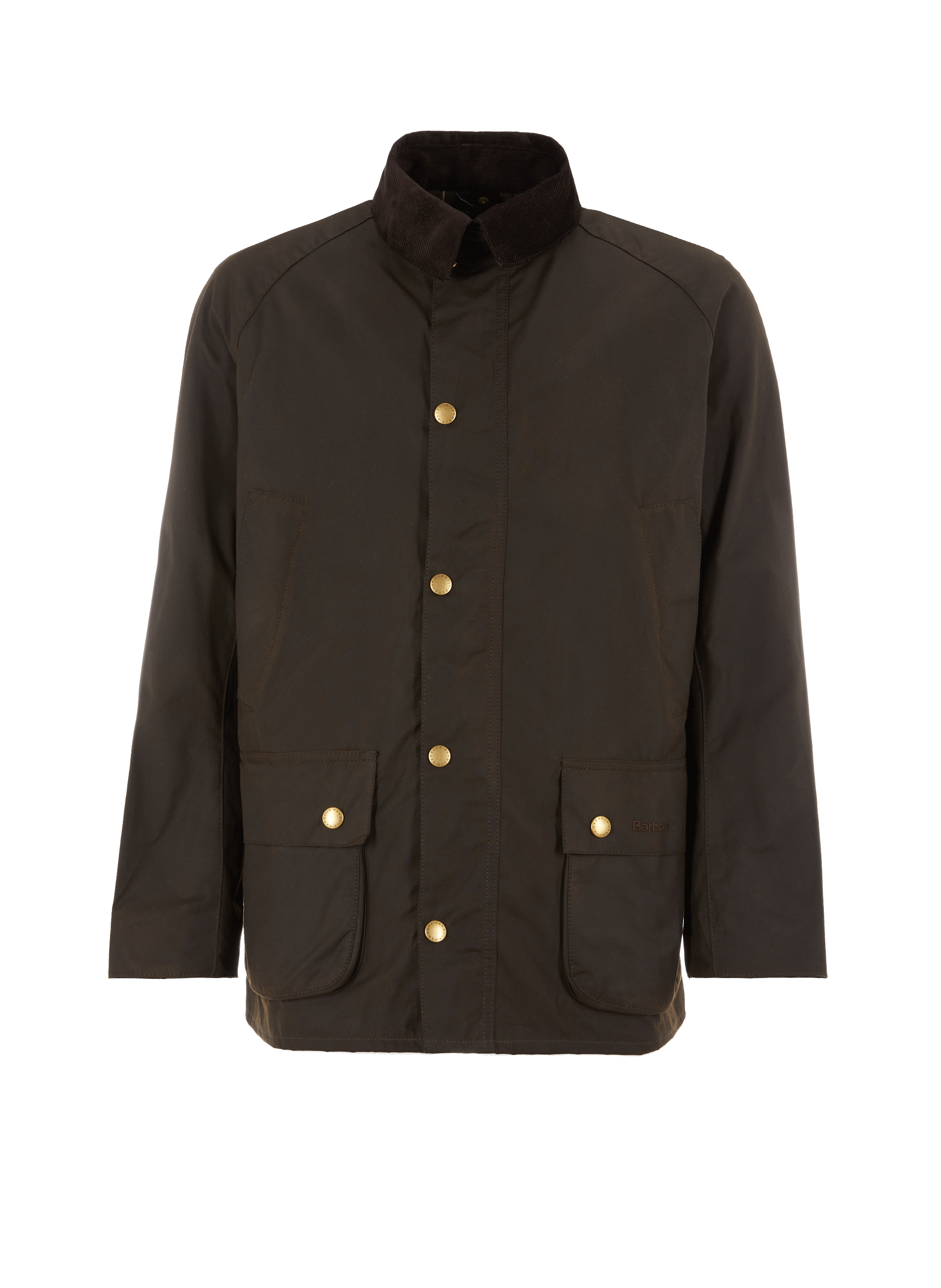 BARBOUR Parka cintrée en coton Vert