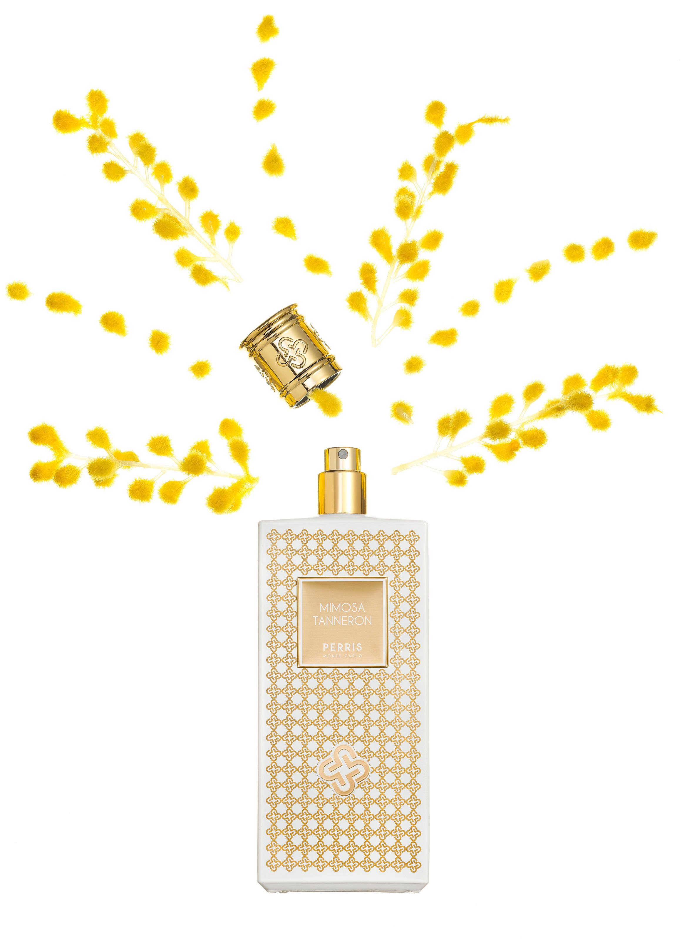 Eau de parfum Mimosa Tanneron No color