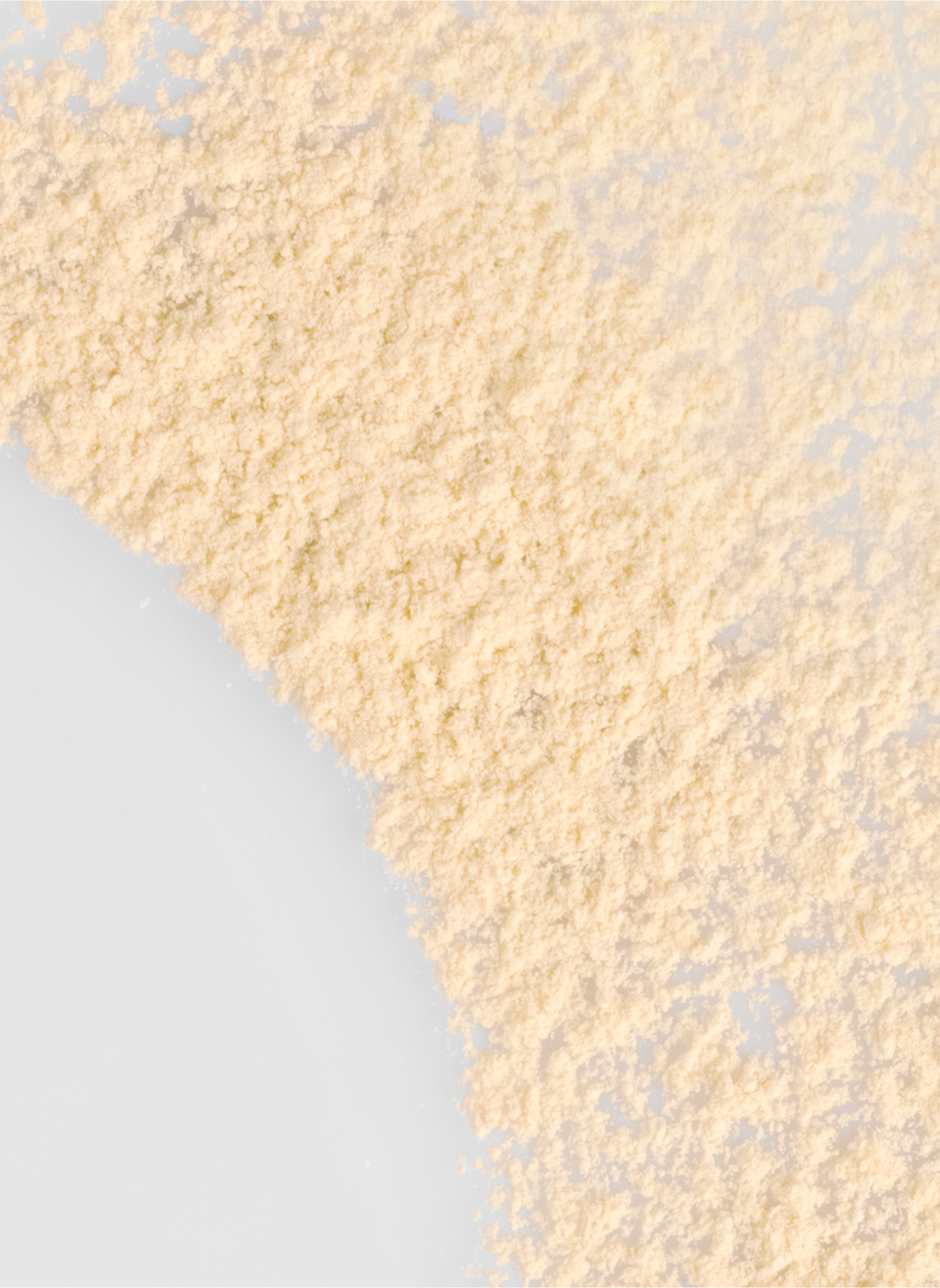 Setting & Care Powder - Mattifying Setting Loose Powder: smoothes, blurs, and mattifies ERBORIAN No color