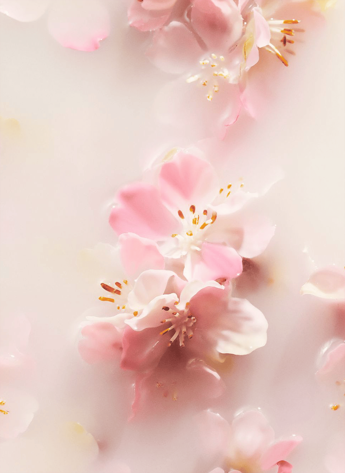 The Ritual Of Sakura Baume Mains RITUALS No color