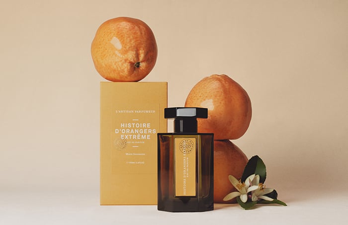 https://media-cdn.printemps.com/image/84/7/8006847.jpg