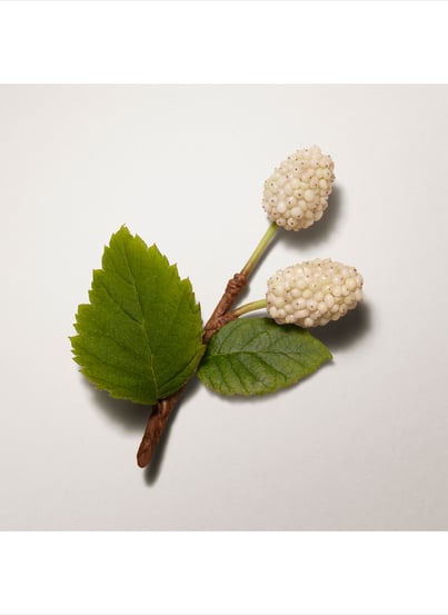 Hermès Plein Air, baume de teint HERMÈS Hermès Plein Air, baume de teint HERMÈS