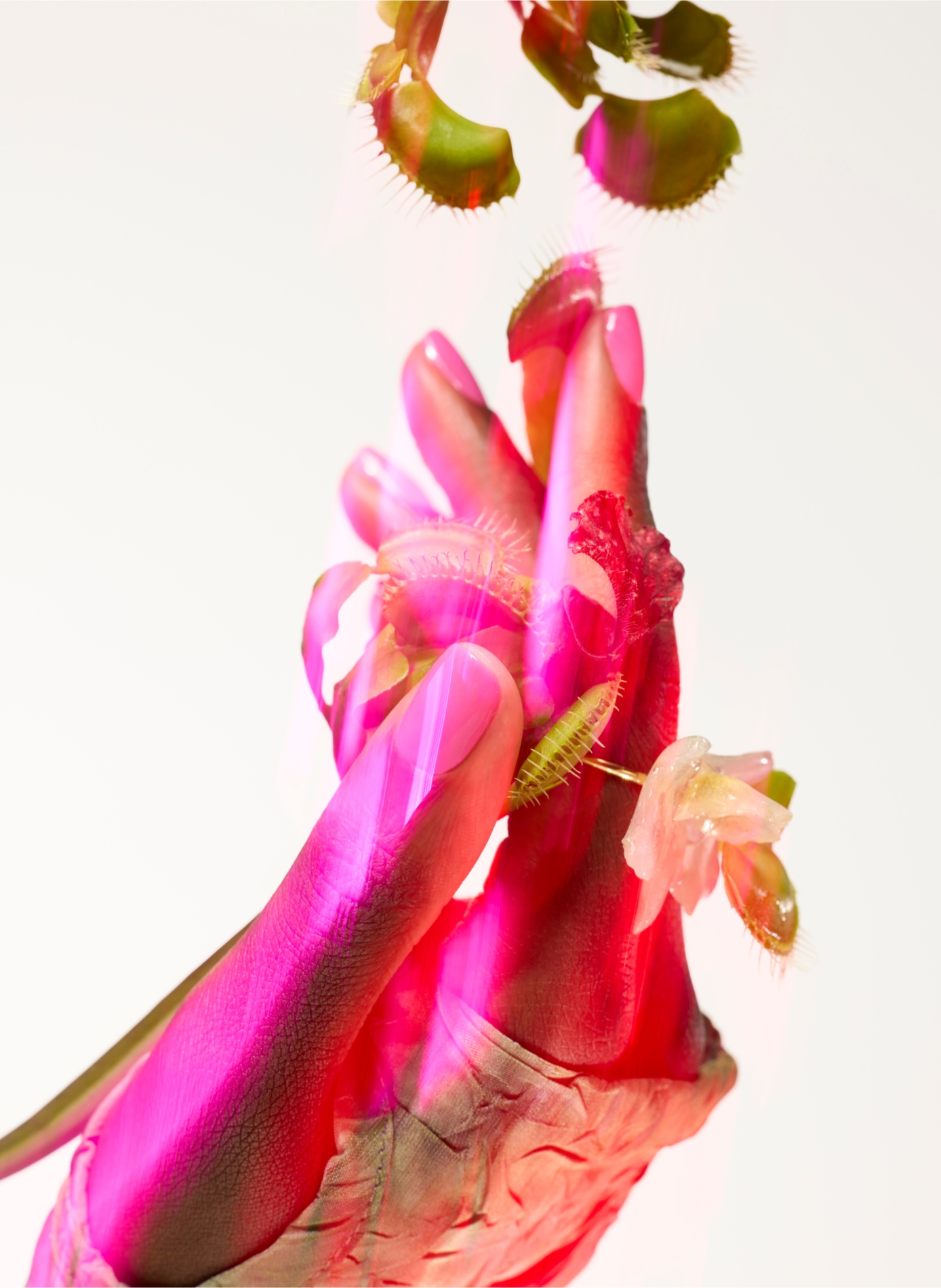 Esmalte de uñas Green Flash - Bloom MANUCURIST Rose néon aux sous-tons bleus