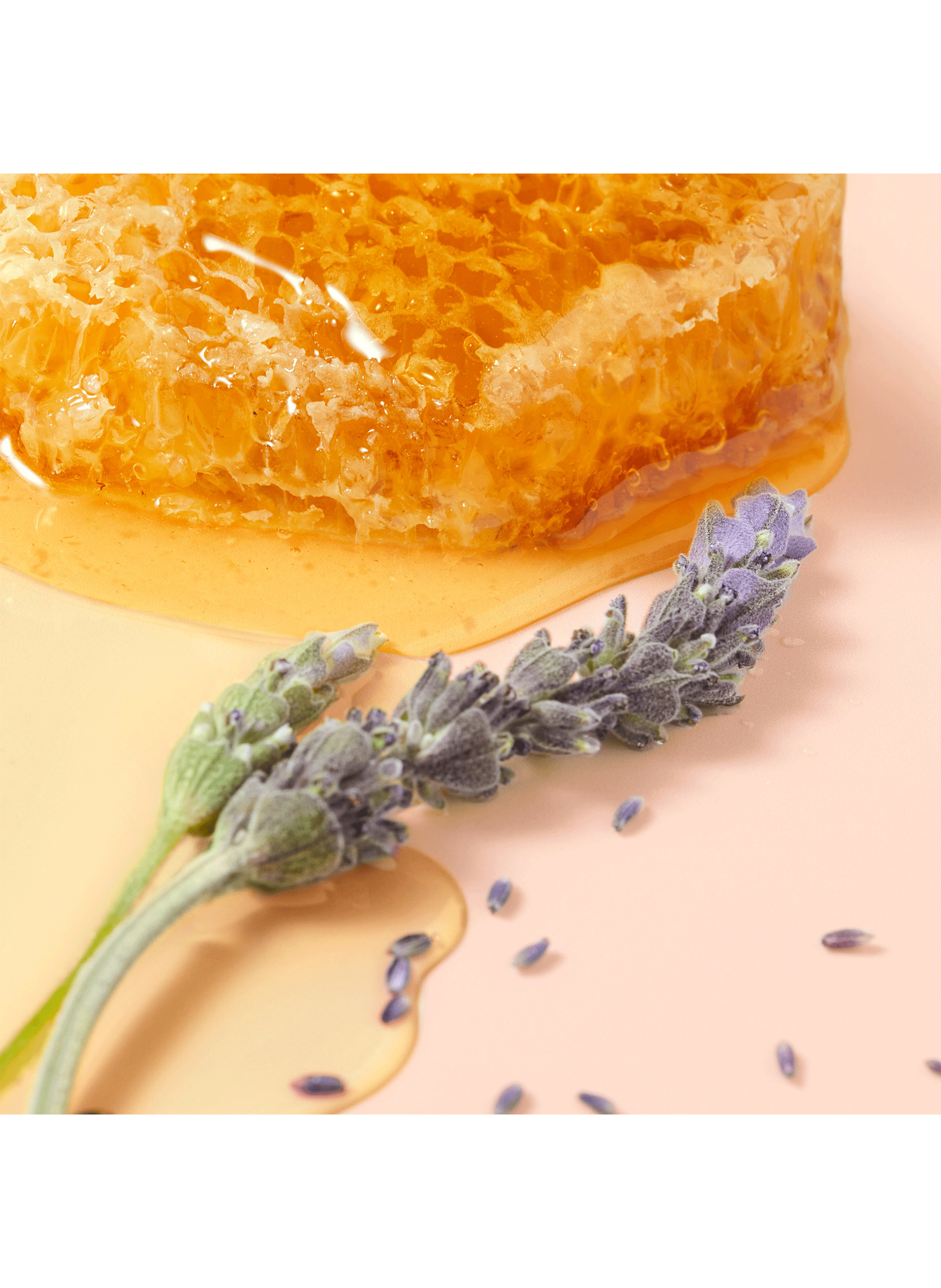 Huile Lèvres sublimatrice transparente en flacon Rêve de Miel® NUXE No color