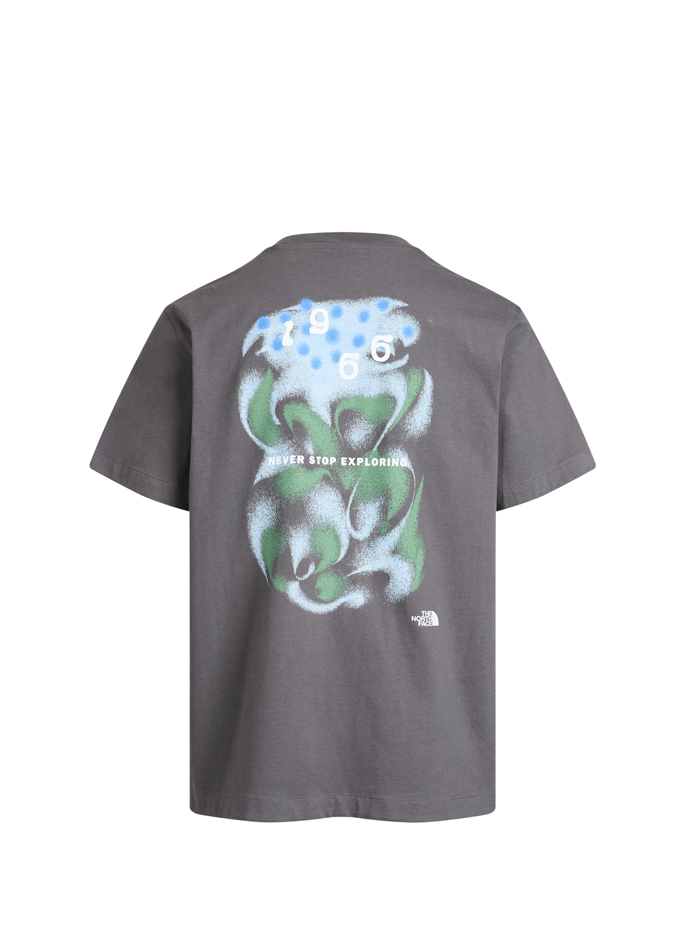 Tee-shirt droit col rond sérigraphié en coton THE NORTH FACE Gris