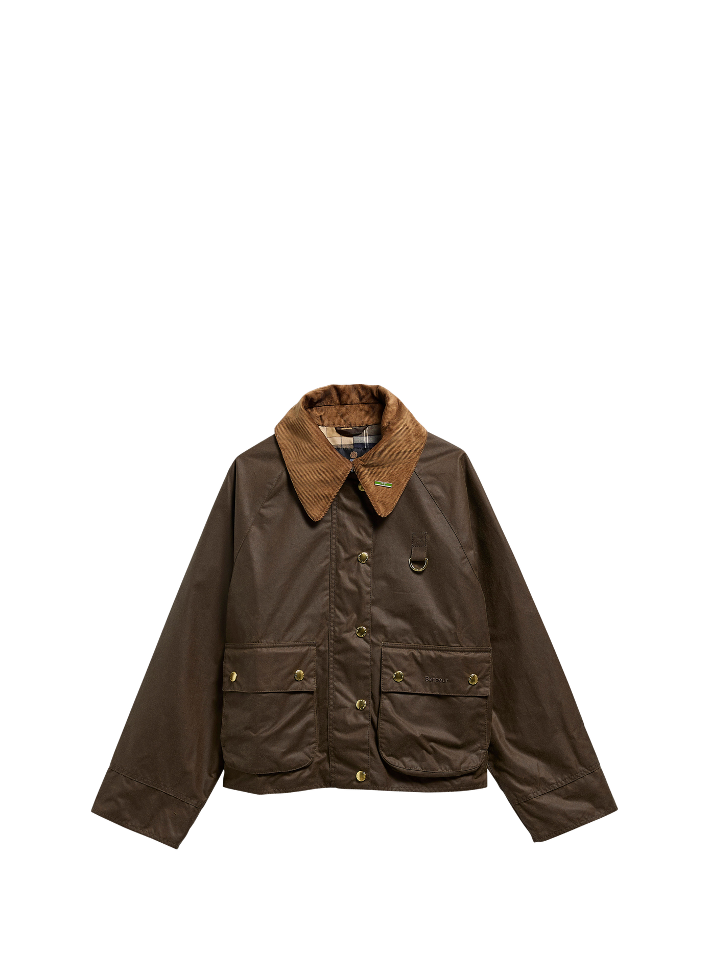 Veste droite col velours en coton BARBOUR Marron