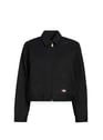 Veste droite unie | Noir by DICKIES DICKIES Veste droite unie | Noir