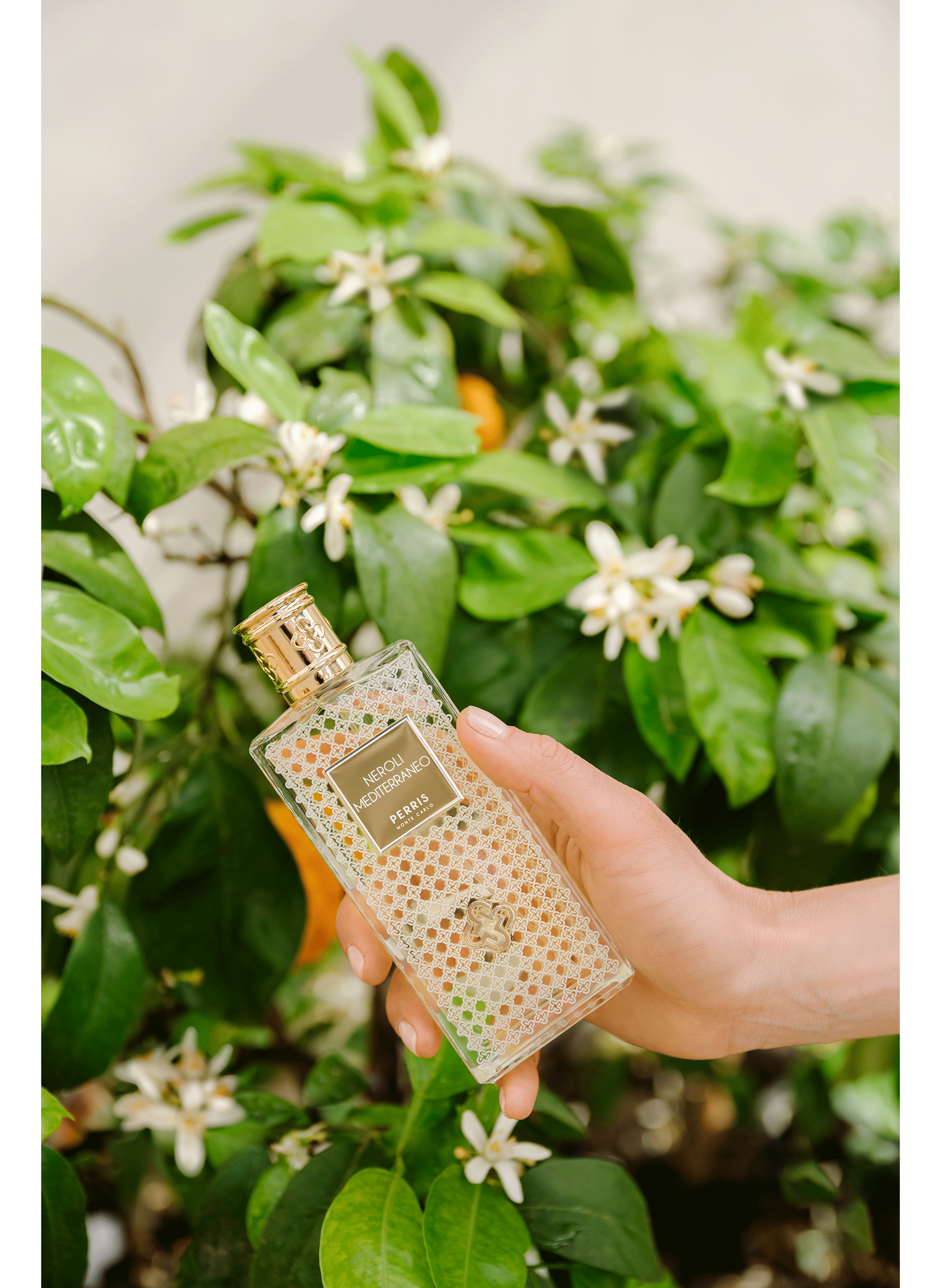 Eau de parfum Neroli Maditerraneo PERRIS MONTE CARLO No color