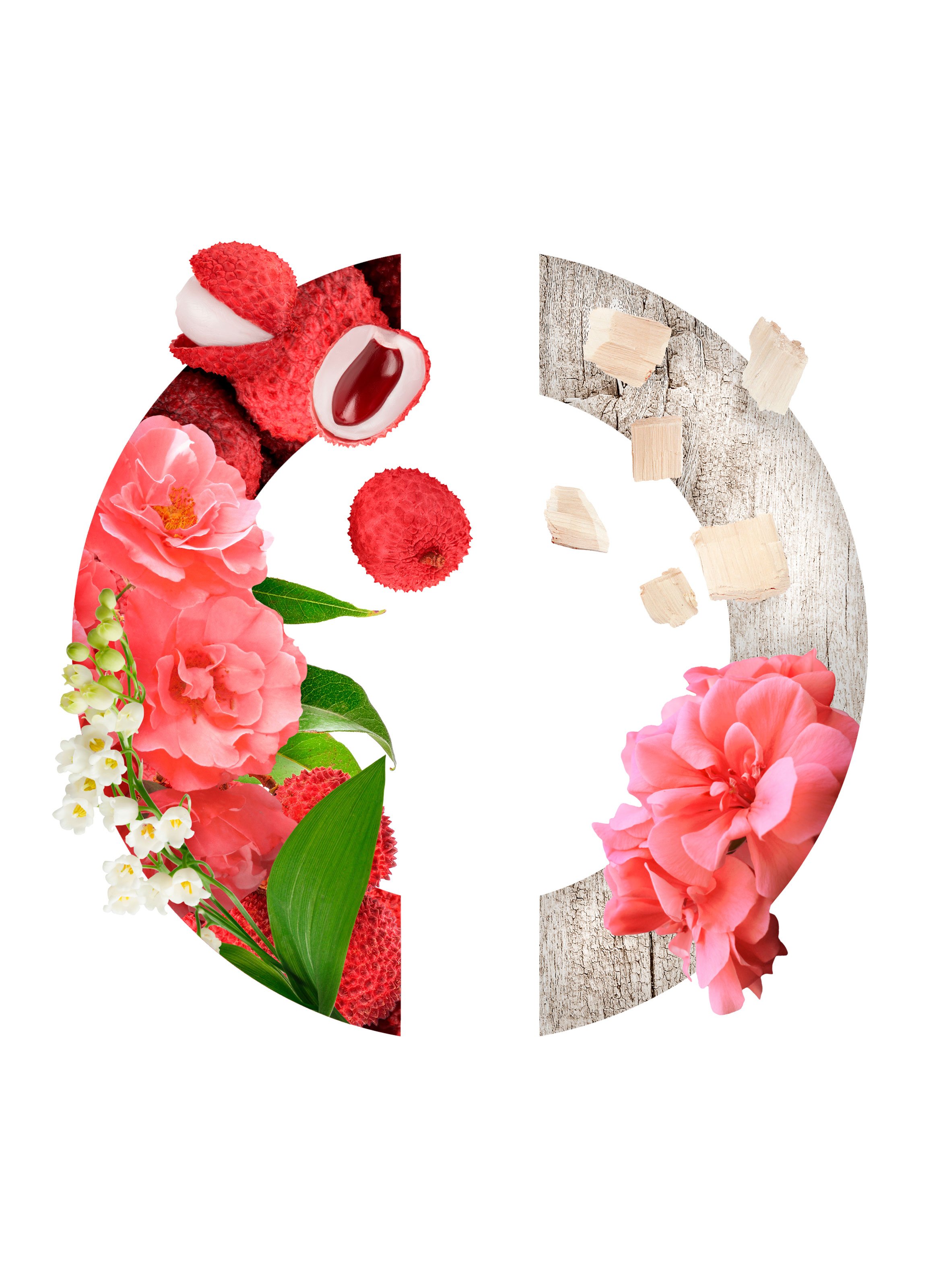 Délire de Roses - Eau de parfum No color