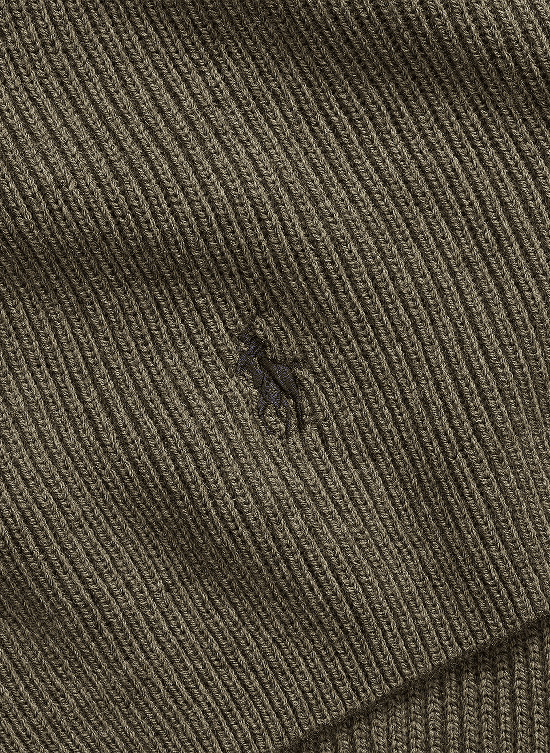 Echarpe en coton POLO RALPH LAUREN Vert