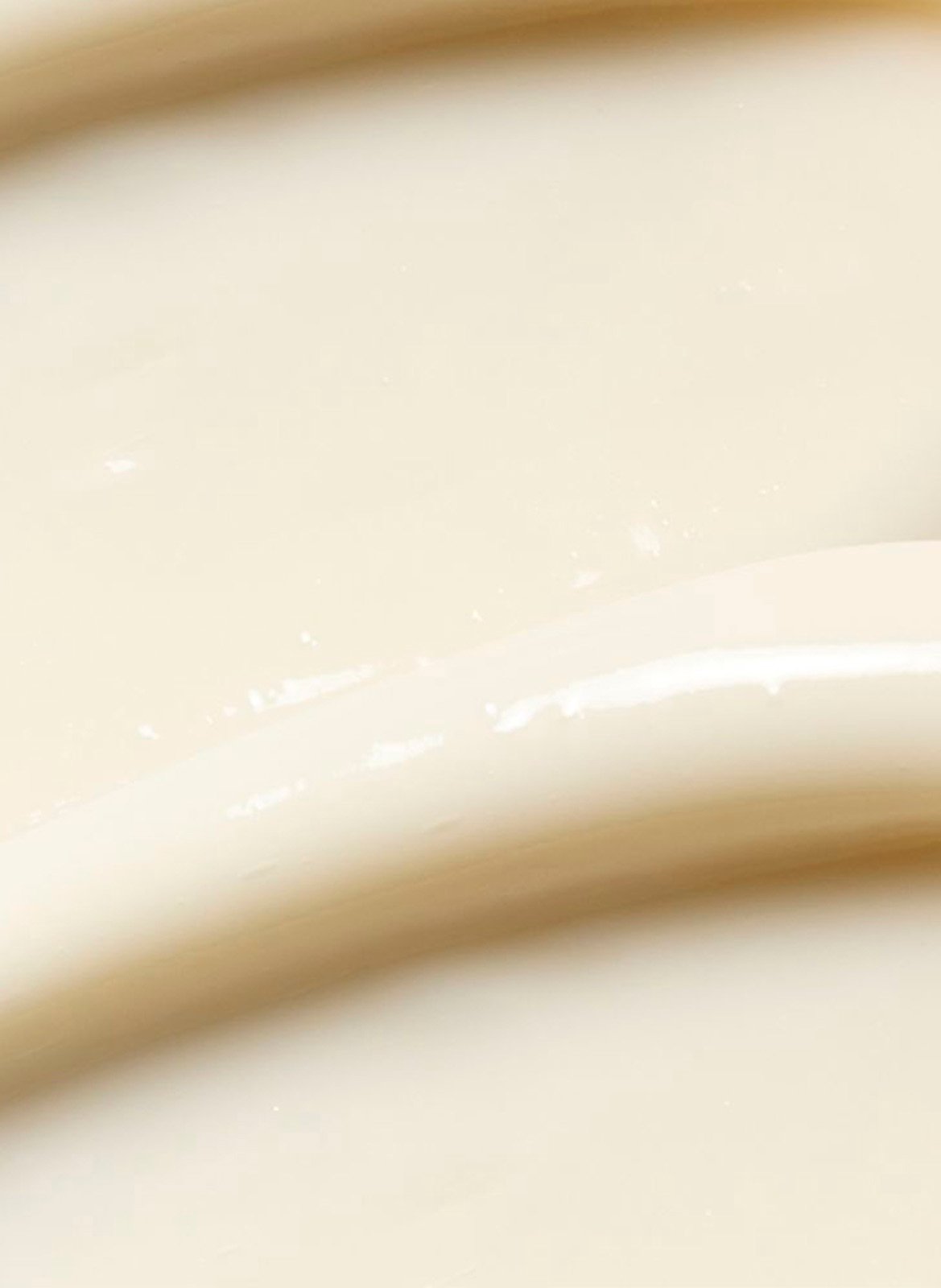 Source-Nutrition - Nährende Creme PAYOT No color