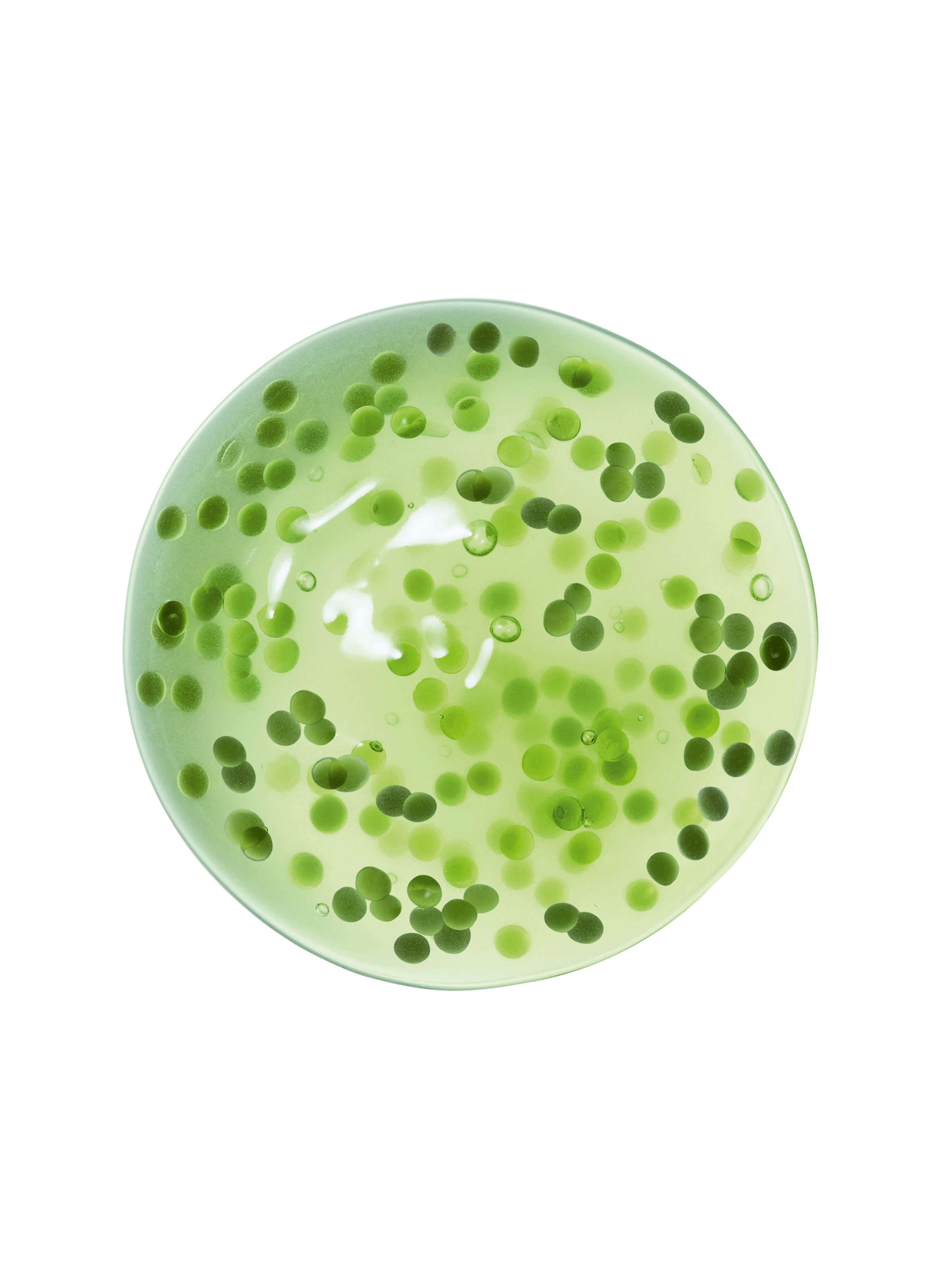 Crème Nera Sérum anti-âge ARMANI No color