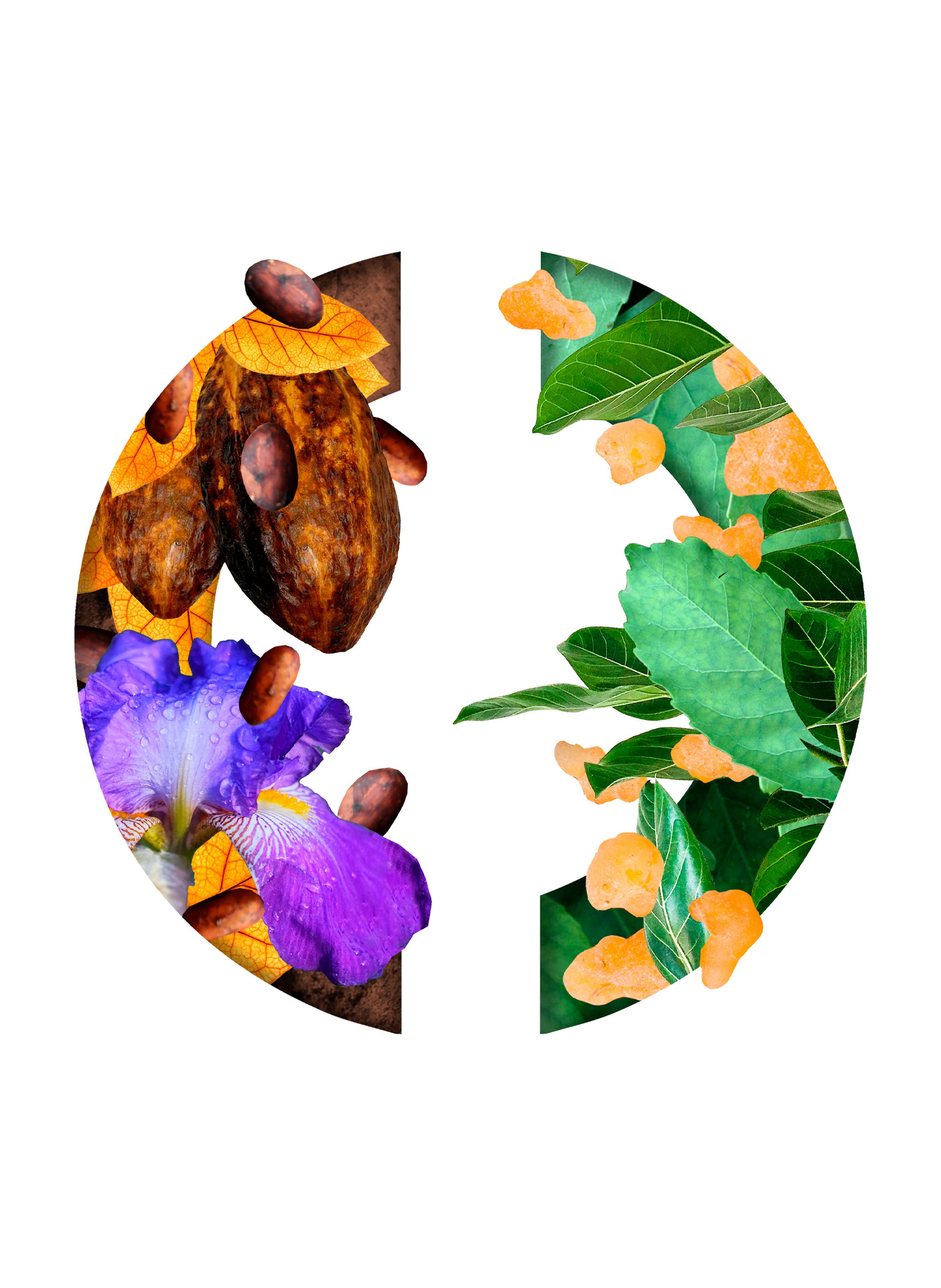 Eau de parfum - Tabac Blanc CARON No color