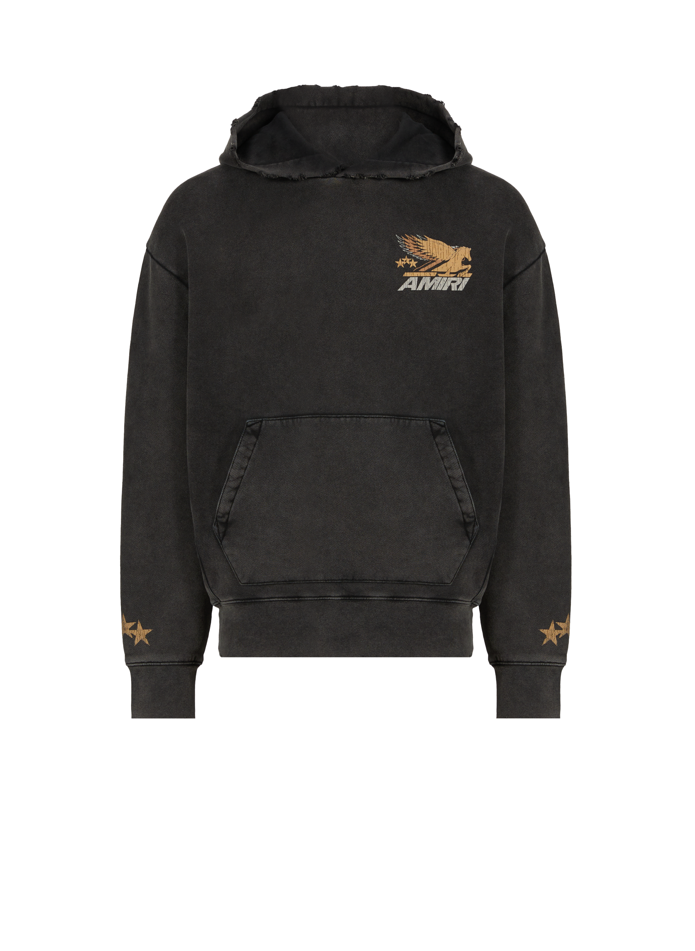 Amiri Hoodie En Coton In Noir