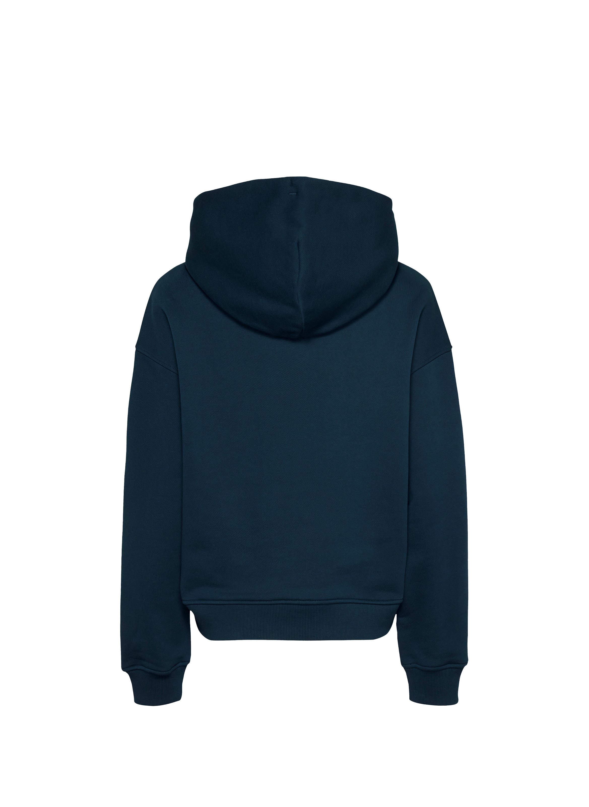 Cotton hoodie TOMMY HILFIGER Blue