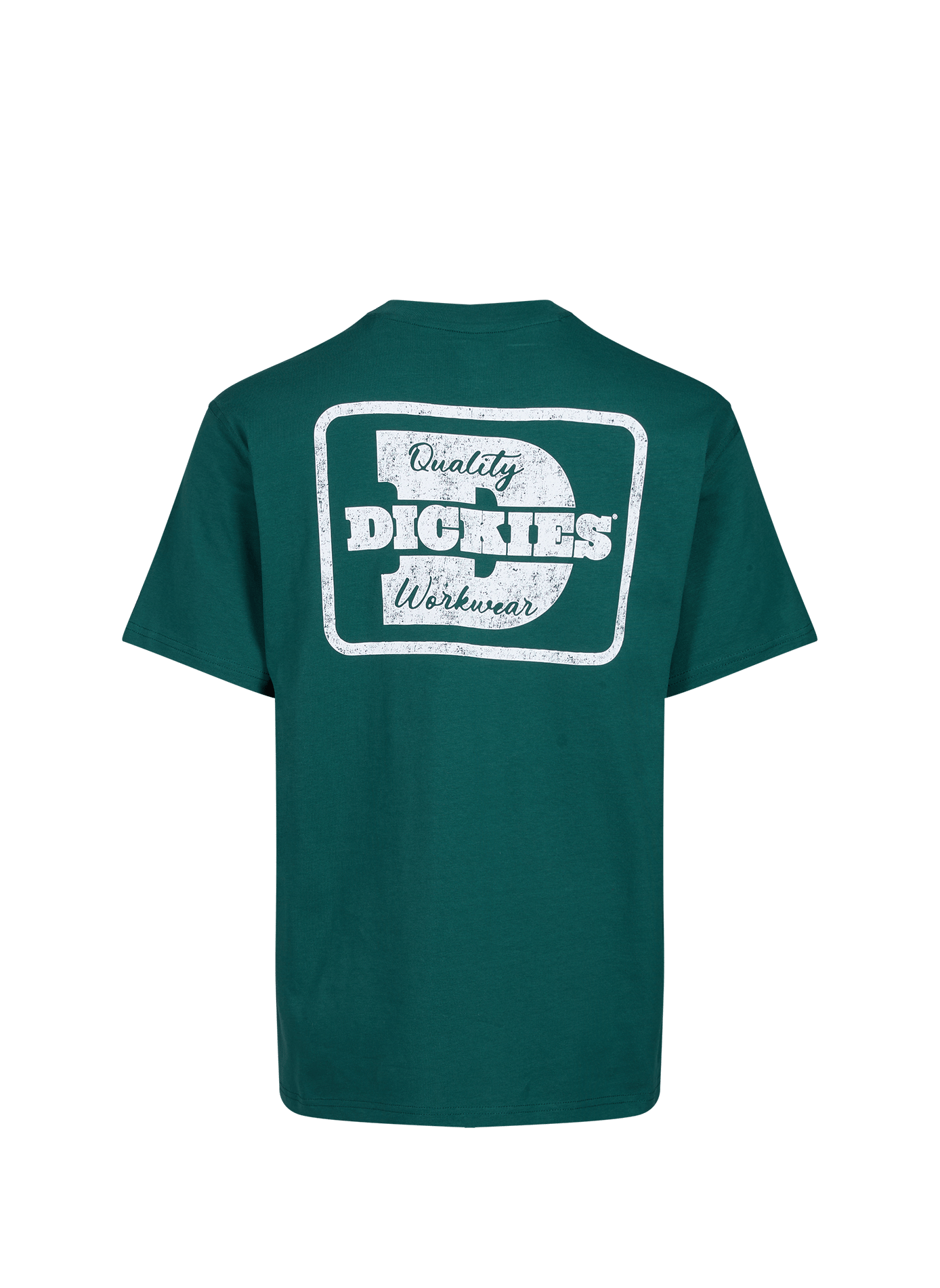 T-shirt Minden SS straight round neck printed in cotton DICKIES Green