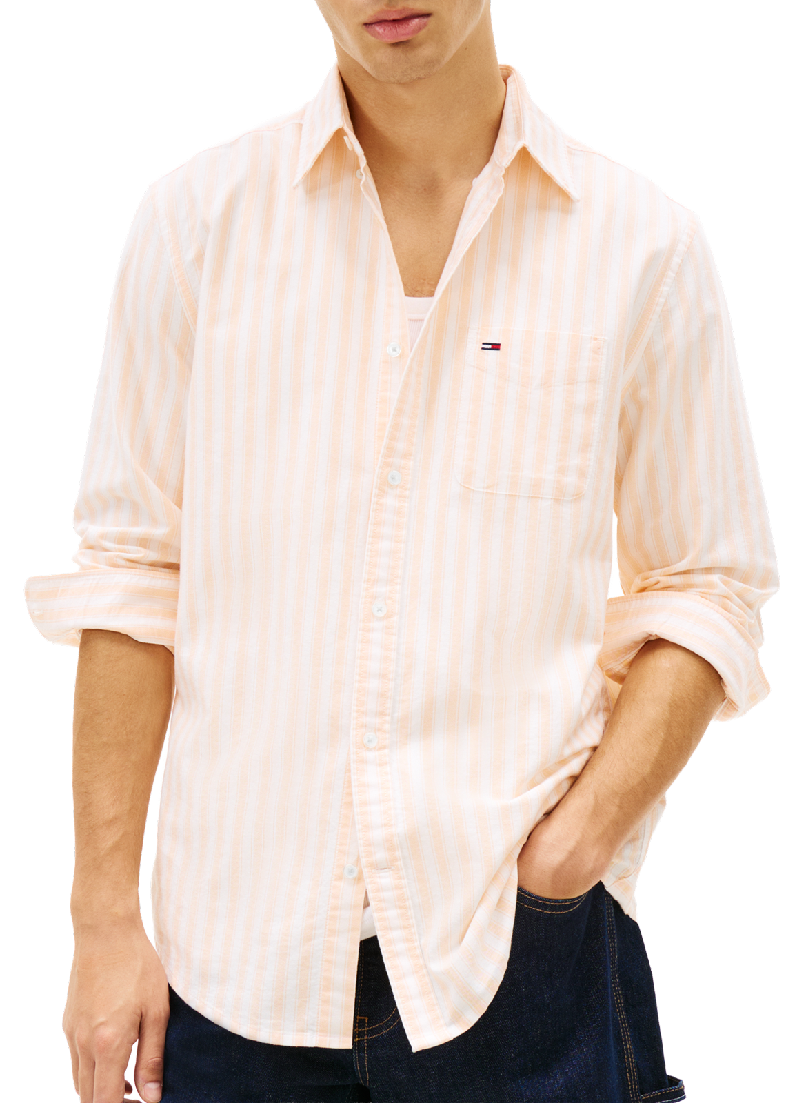 Striped cotton shirt TOMMY HILFIGER Multicolour