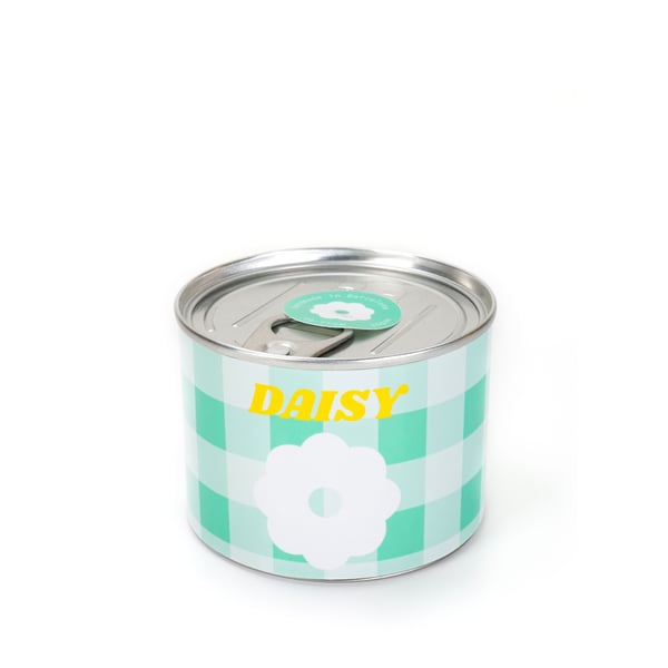 Bougie conserve daisy
