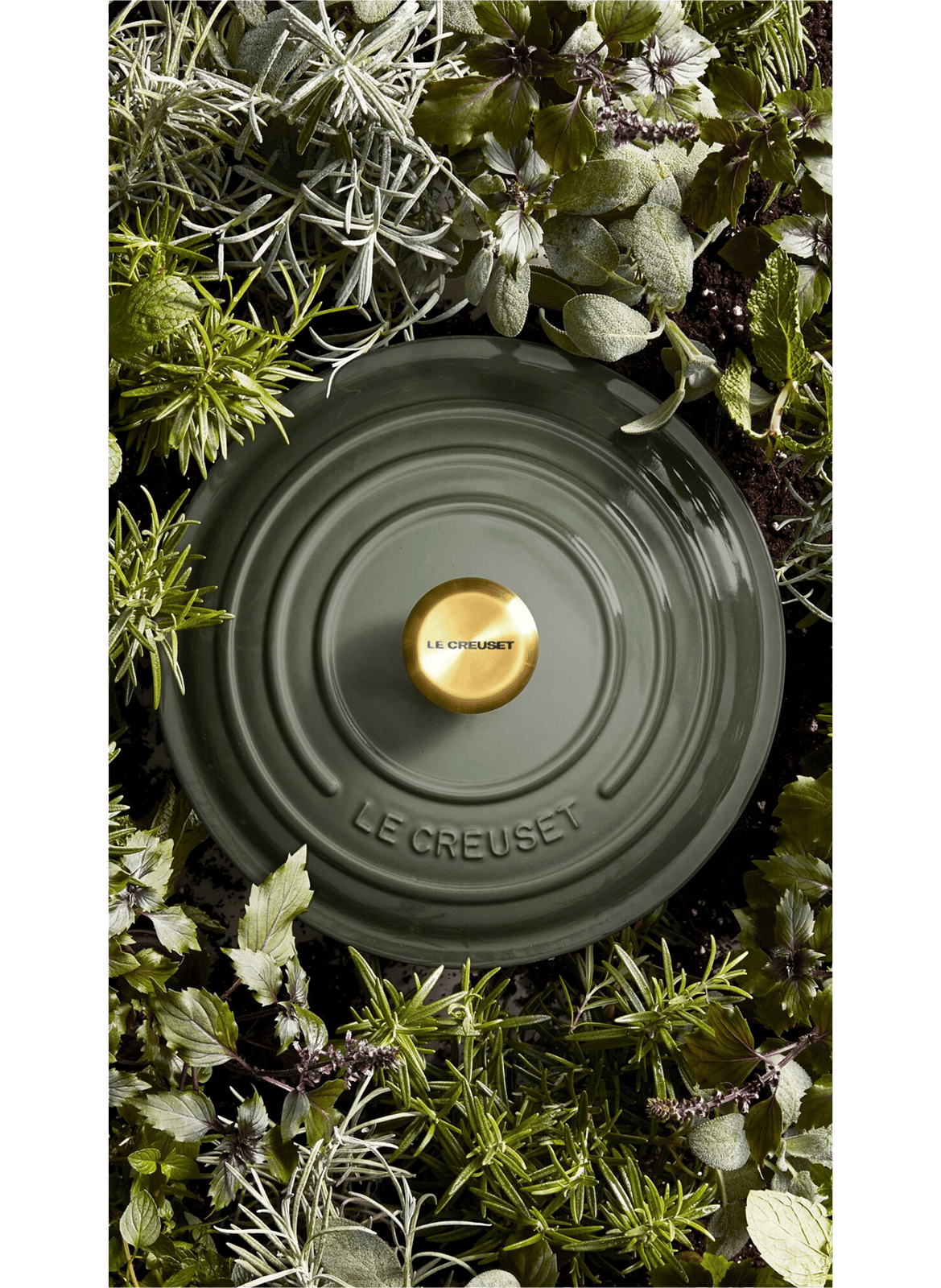 Runde emaillierte Gusseisen-Cocotte LE CREUSET Grun