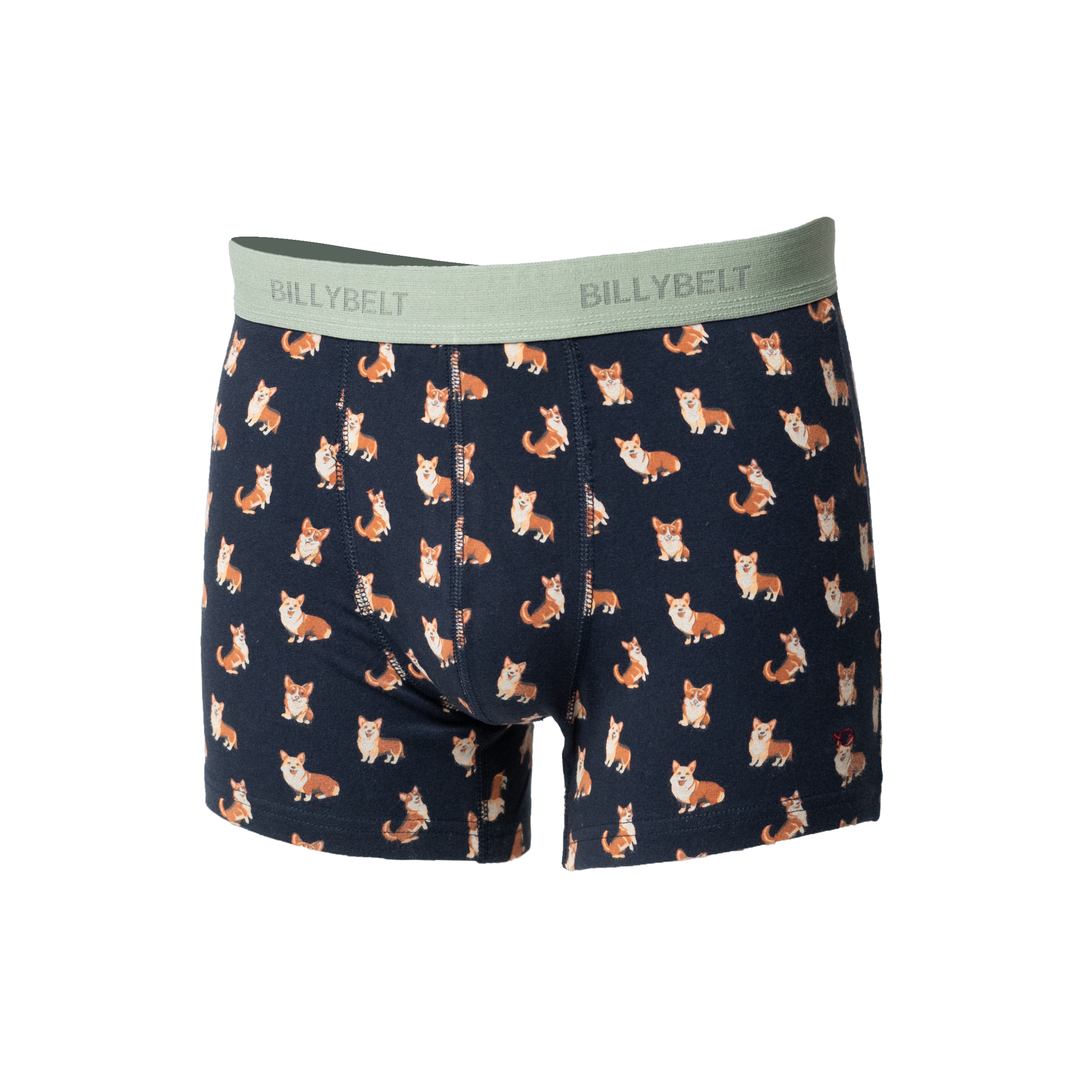 Boxer en coton biologique  Bleu