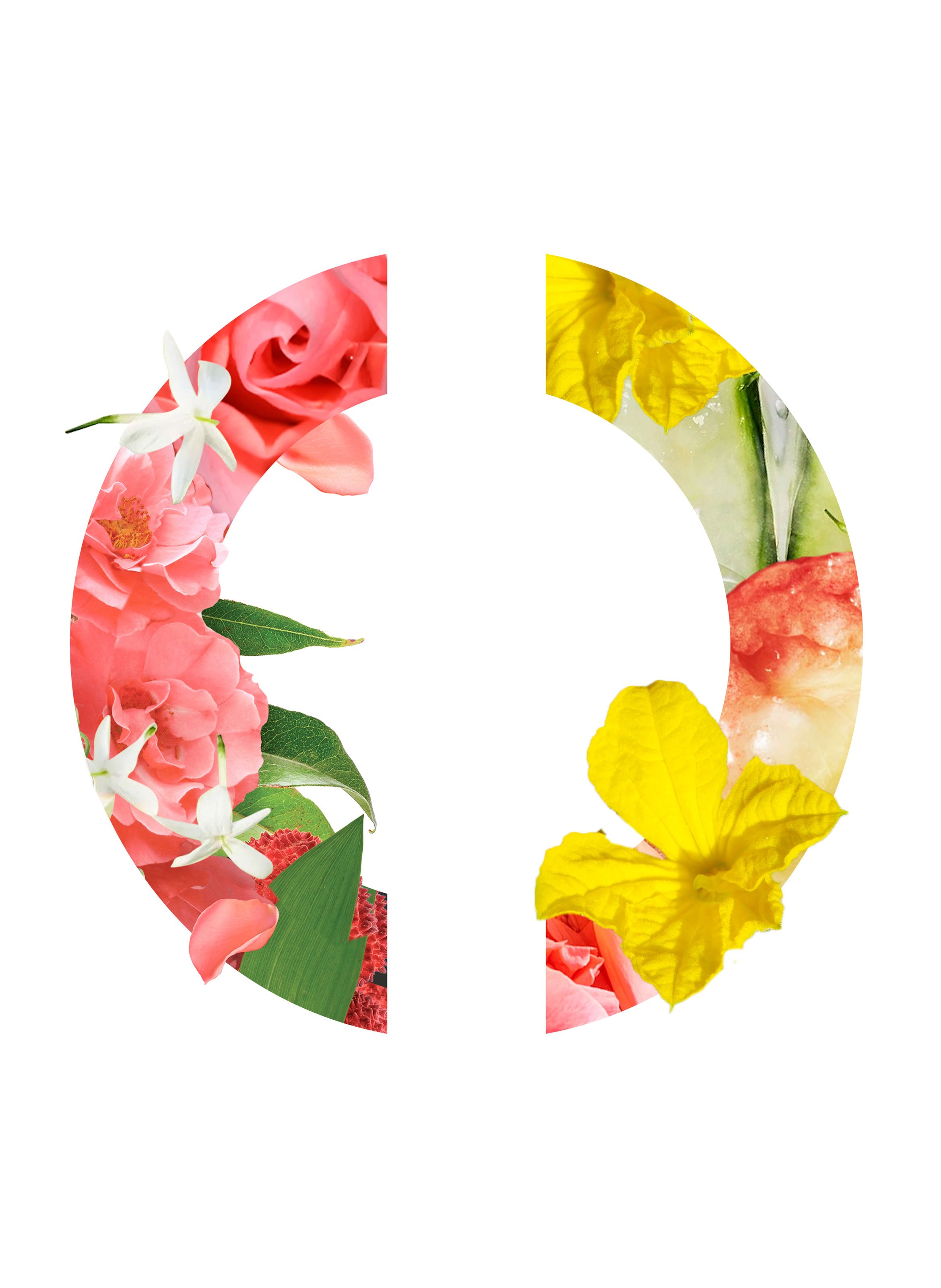 Eau de toilette - Rose Croquante CARON No color