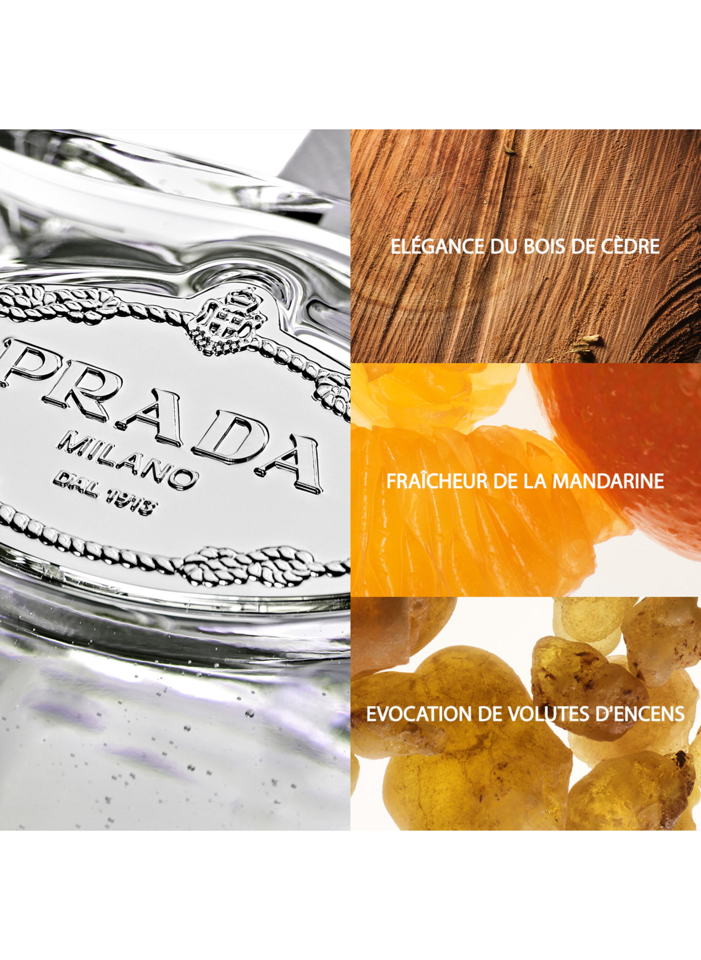 Die Infusionen - Holzig-magnetisches Zitrus-Eau de Parfum PRADA No color
