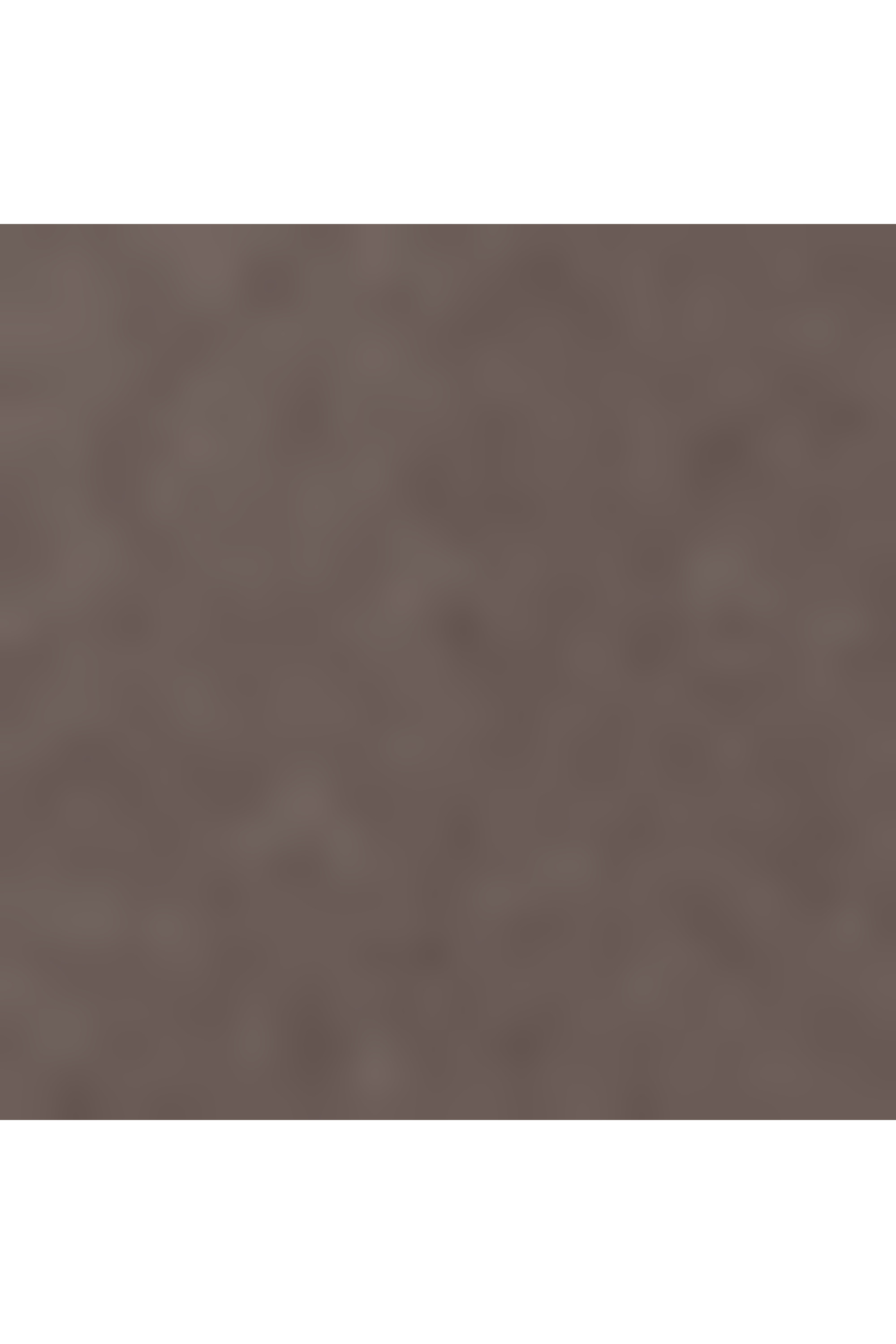 Voyageur lifestyle accessory taille s TUMI Gris