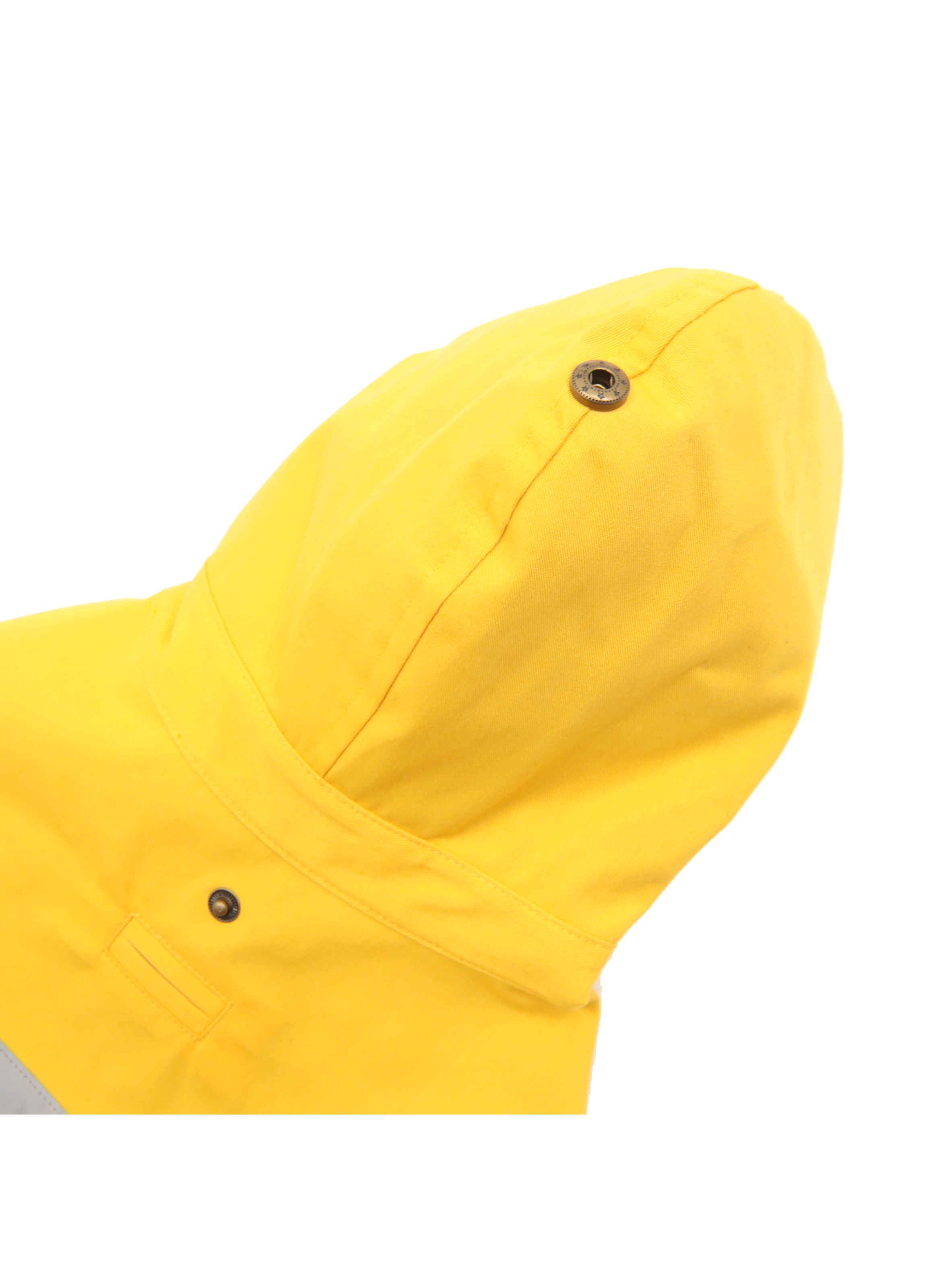 Blouson pour chien  Multicolore