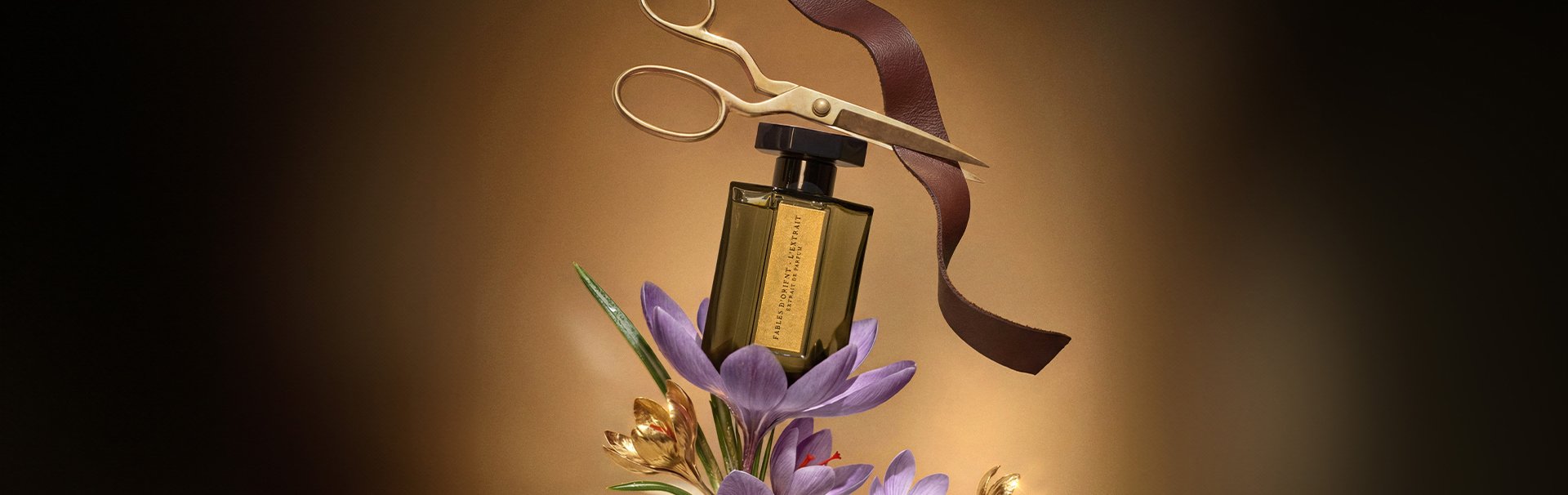 Image d'illustration