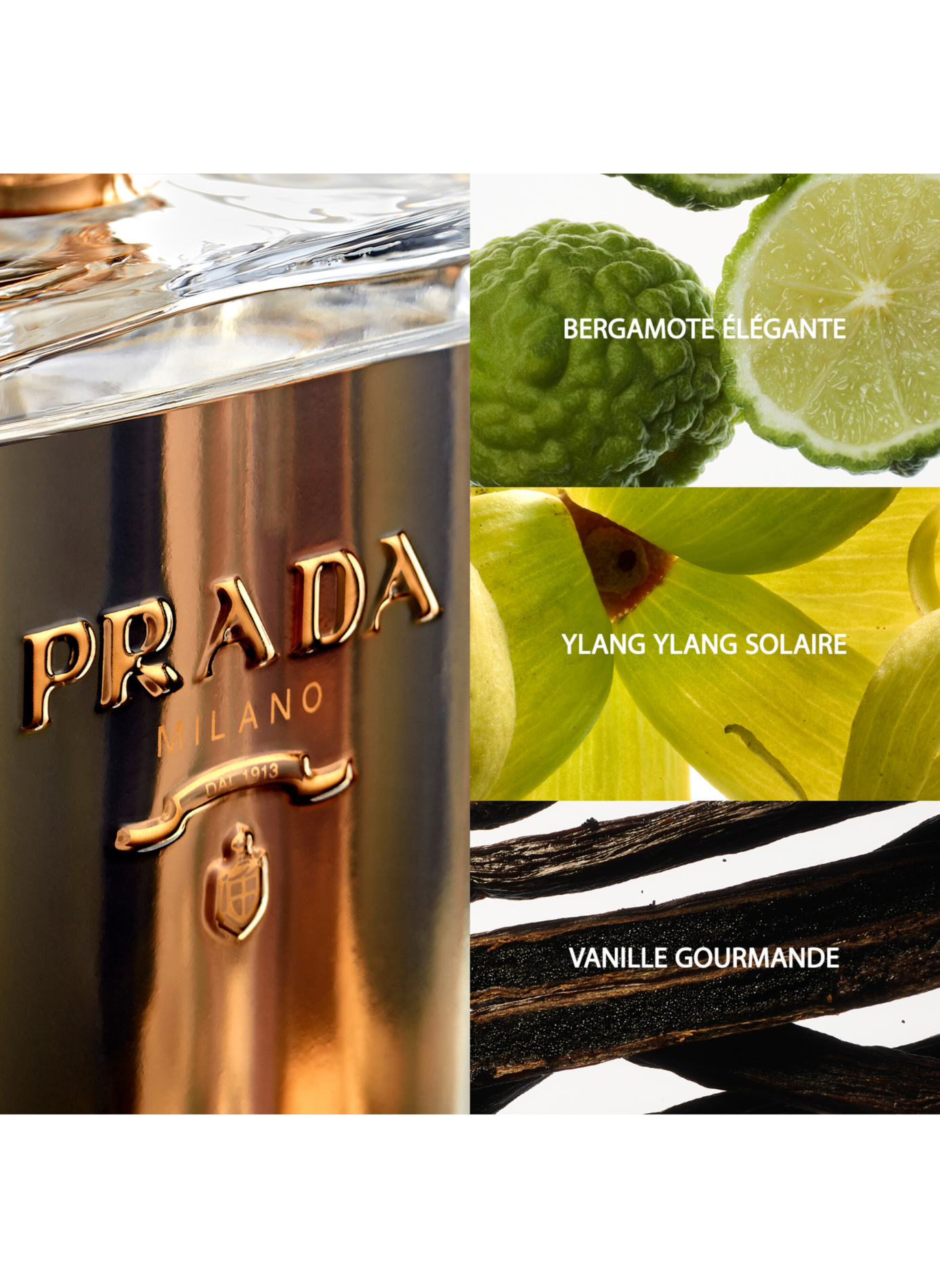 Die Frau Prada - Grünes blumiges Eau de Parfum für Frauen PRADA Beauty