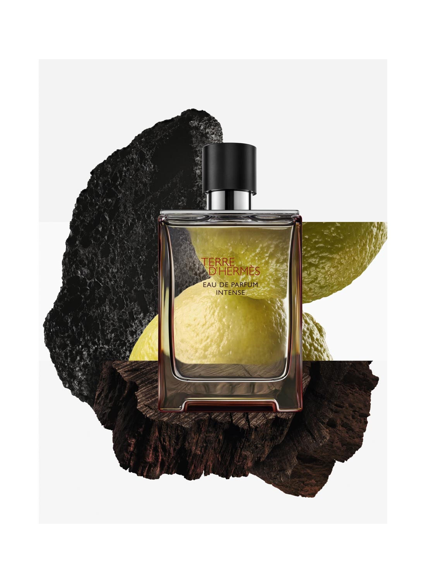 Estuche Terre d'Hermès, Eau de Parfum Intense 2026 HERMÈS No color