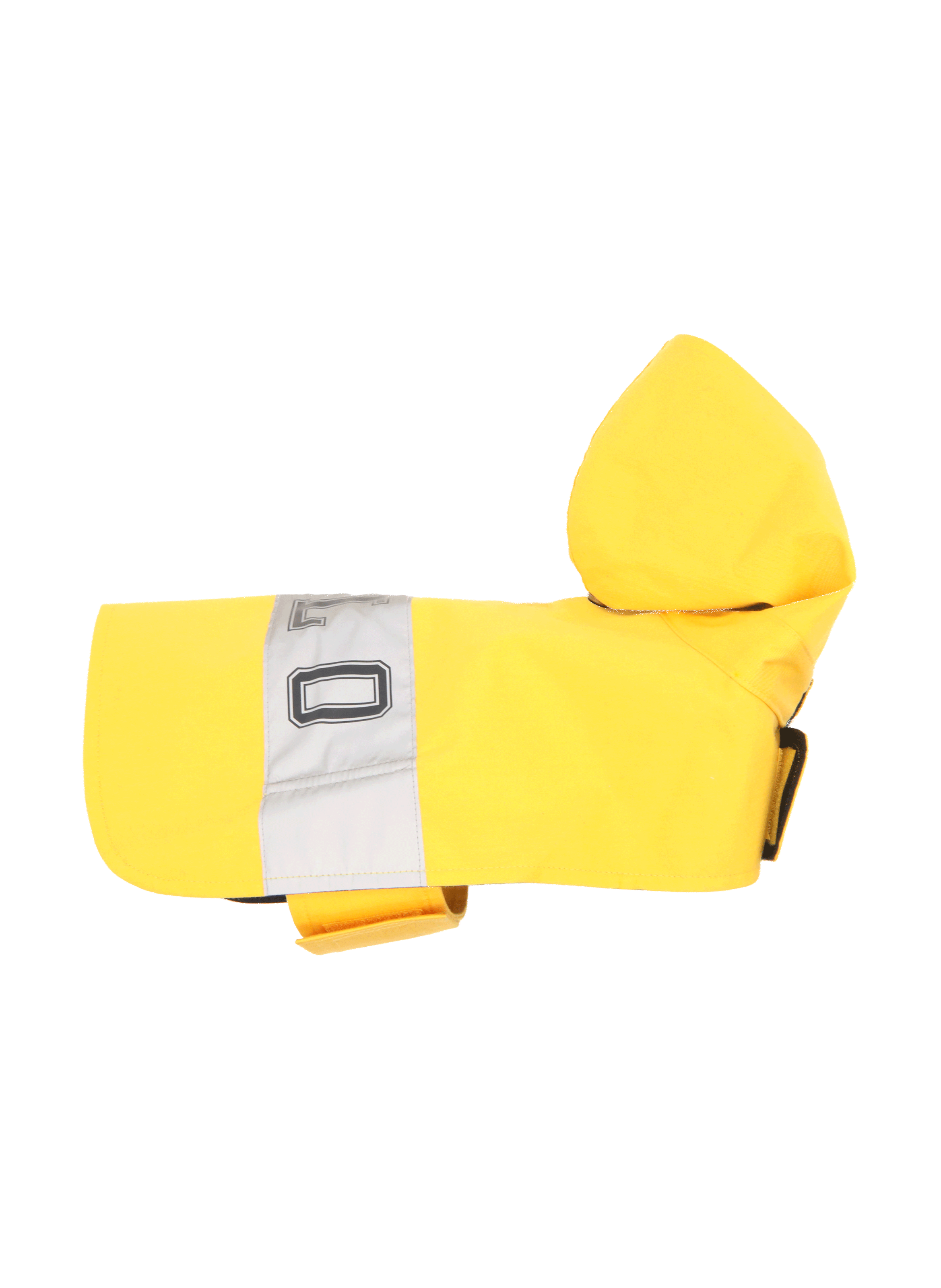 Blouson pour chien  Multicolore