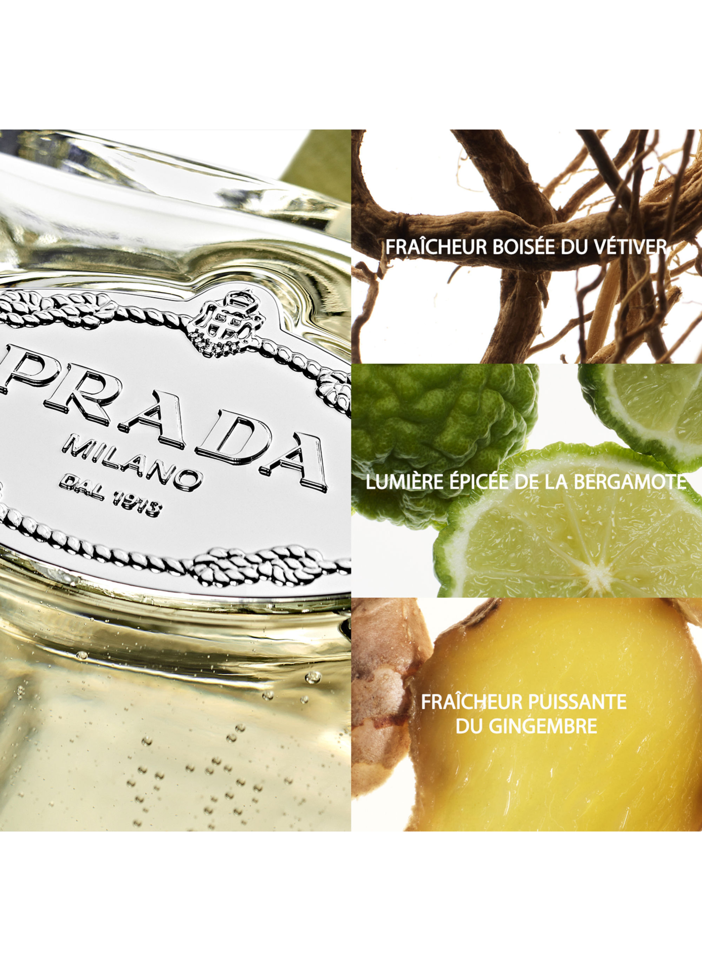 Die Infusionen - Kühnes holzig-zitrisches Eau de Parfum. PRADA No color