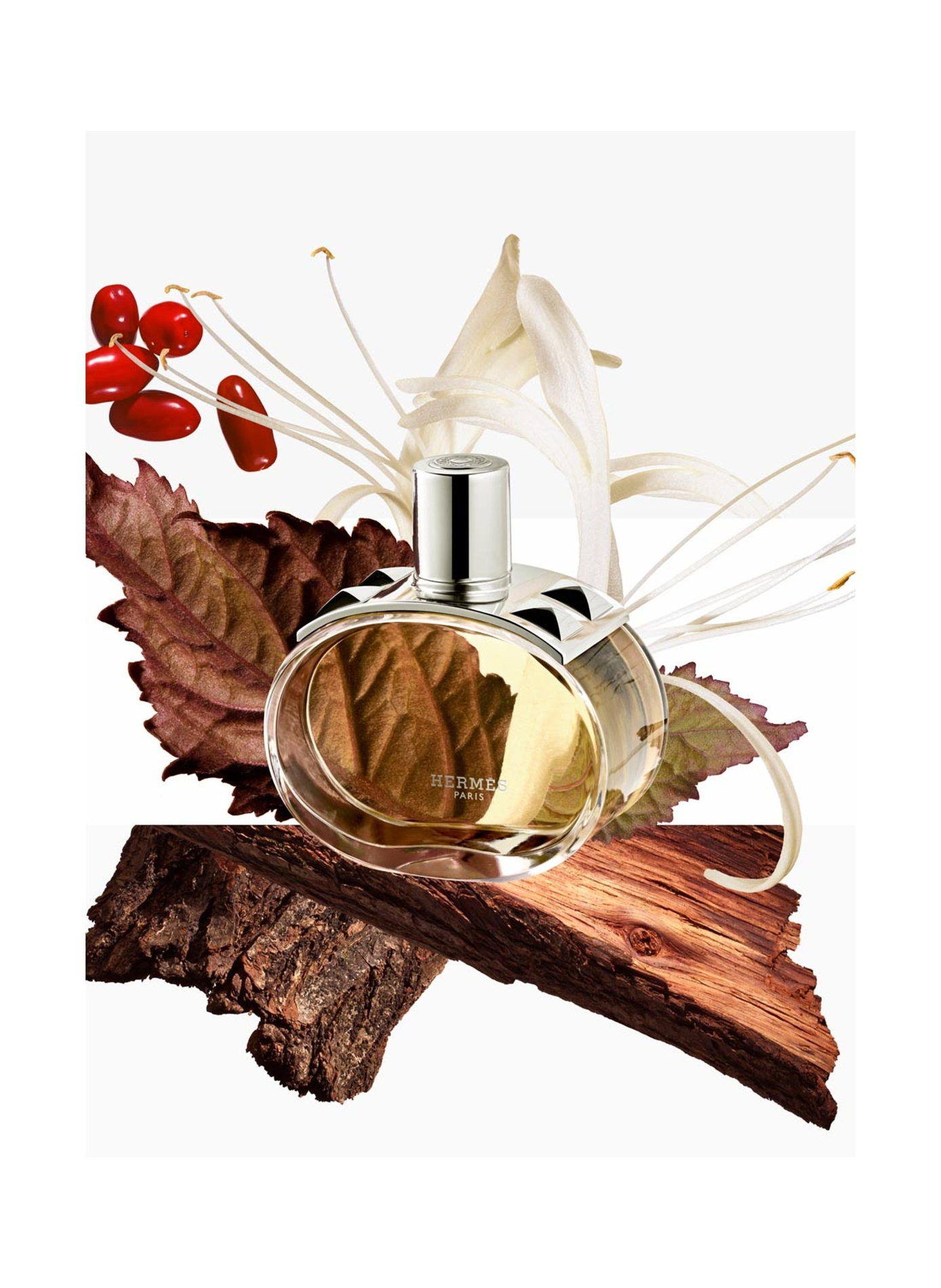 Estuche Barénia, Agua de Perfume 2026 HERMÈS No color