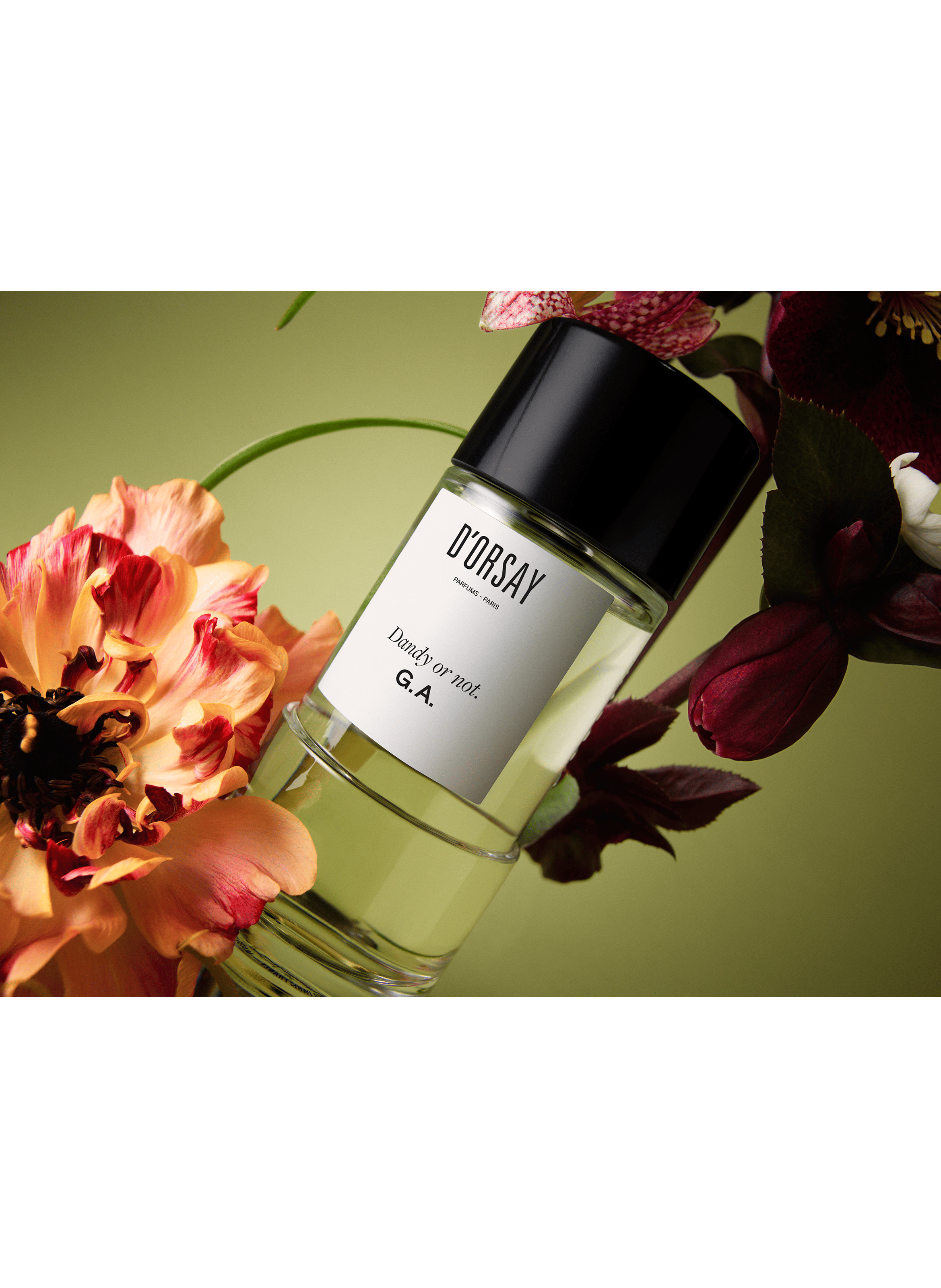 D'ORSAY Perfume G.A - Dandy or not No color