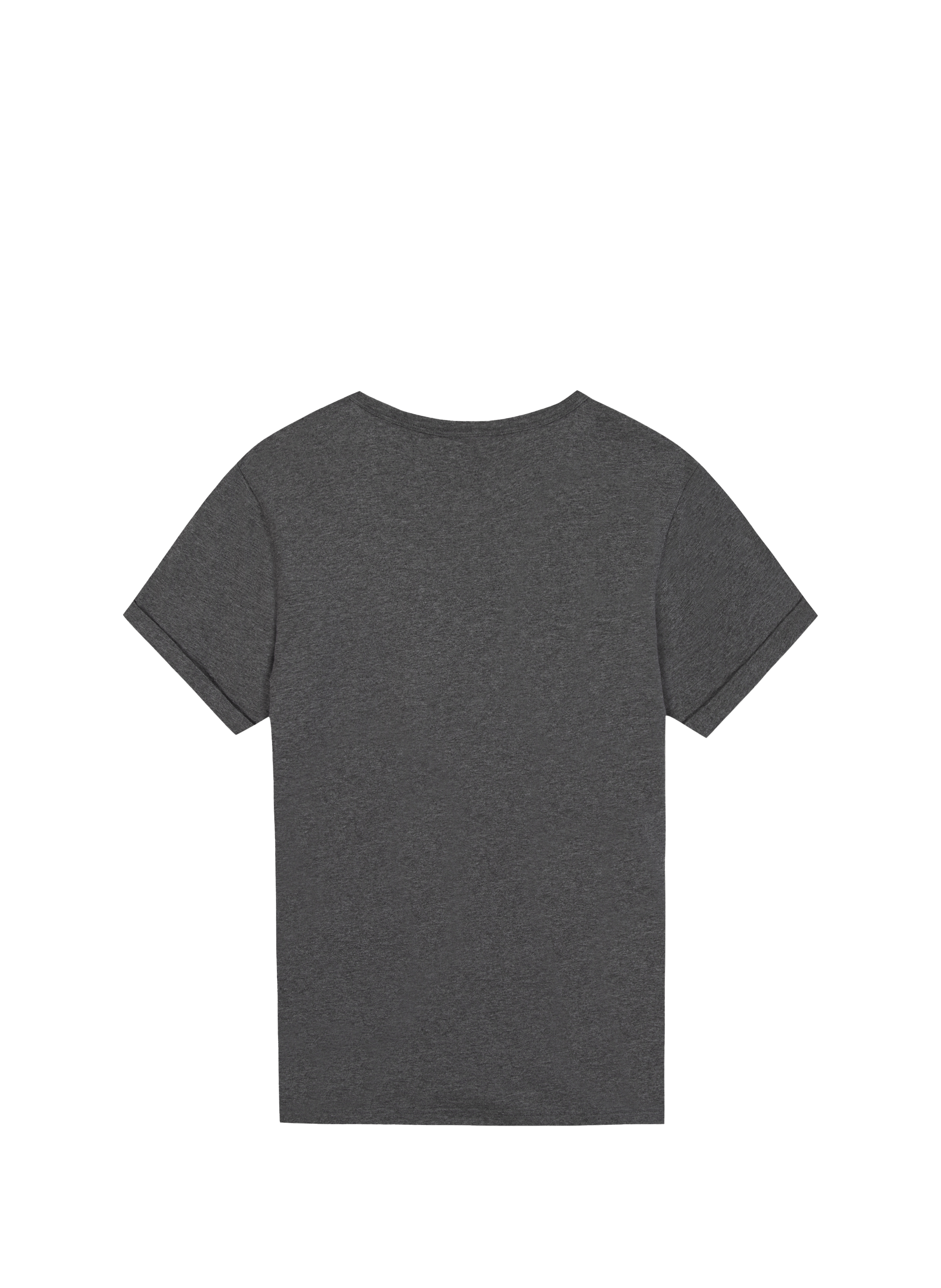 Embroidered cotton T-shirt MAISON LABICHE Grey