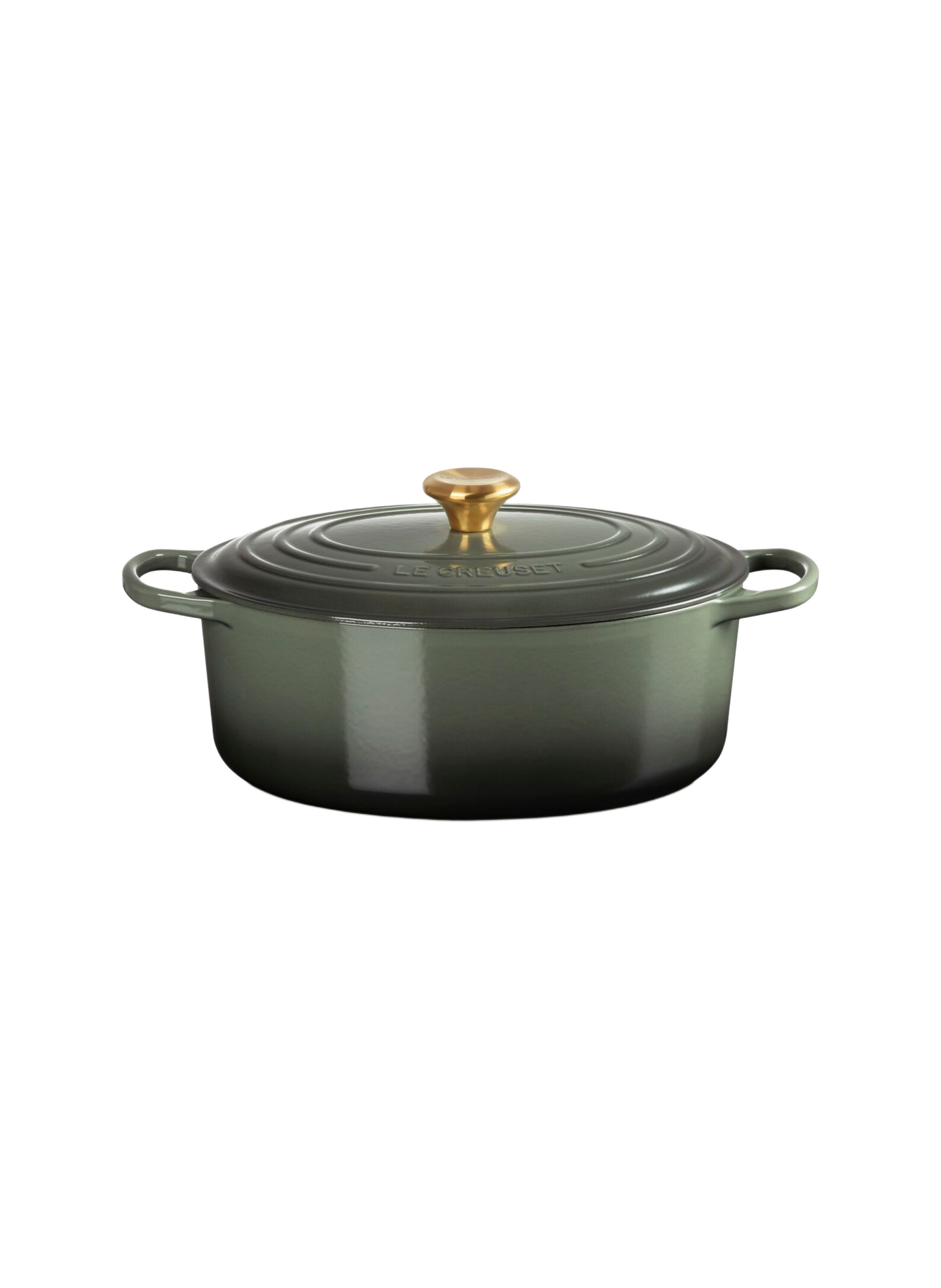 Ovale gusseiserner Schmortopf mit Emaillebeschichtung LE CREUSET Grun