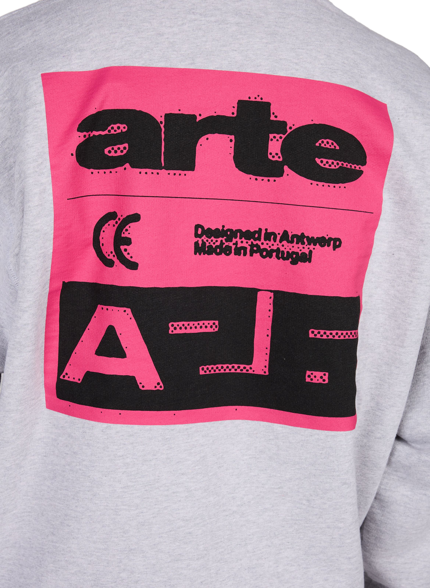 Bedruckter Kapuzenpulli aus Baumwolle ARTE ANTWERP Grau