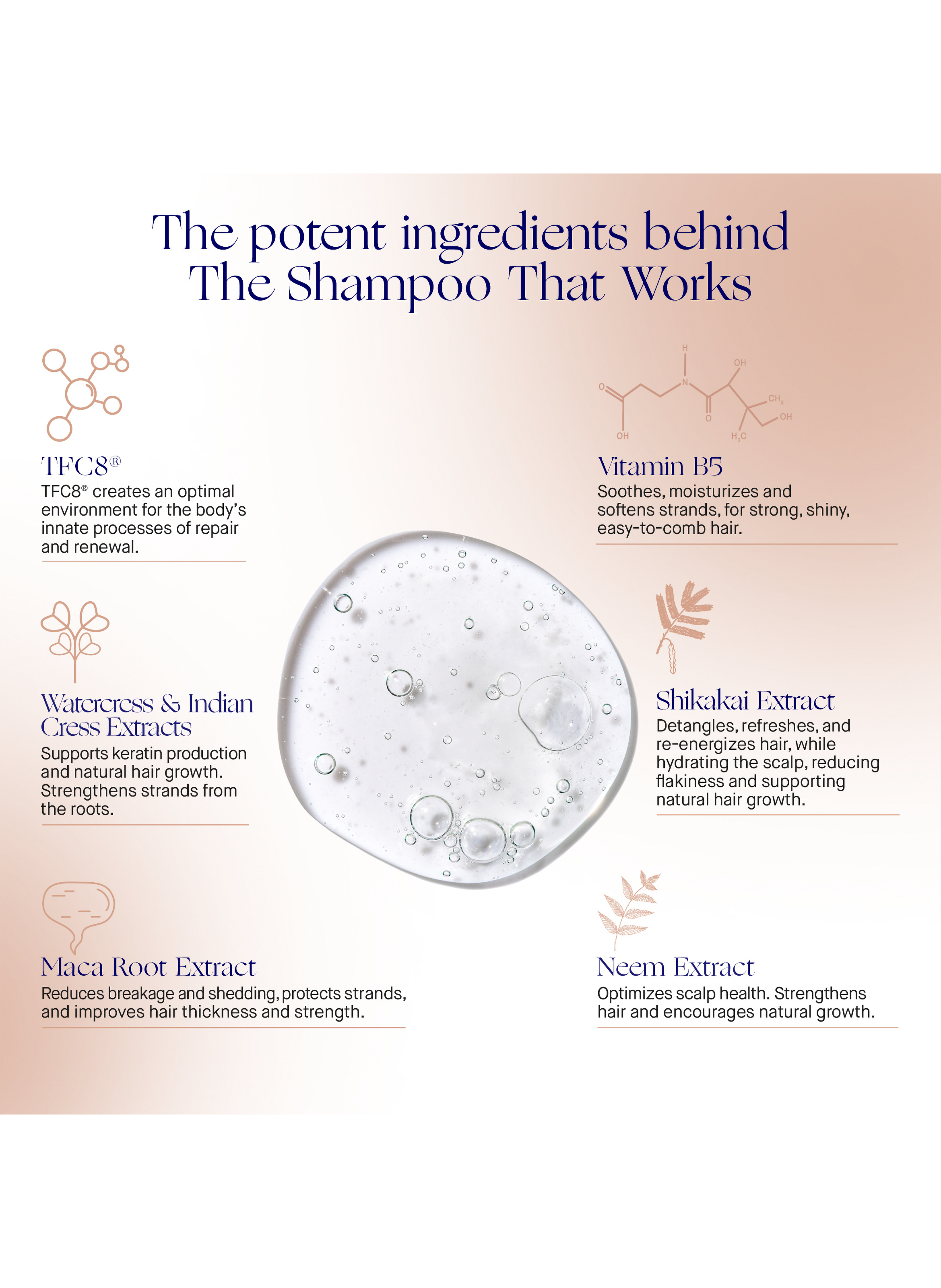 Le Shampoing avec TFC8® AUGUSTINUS BADER No color