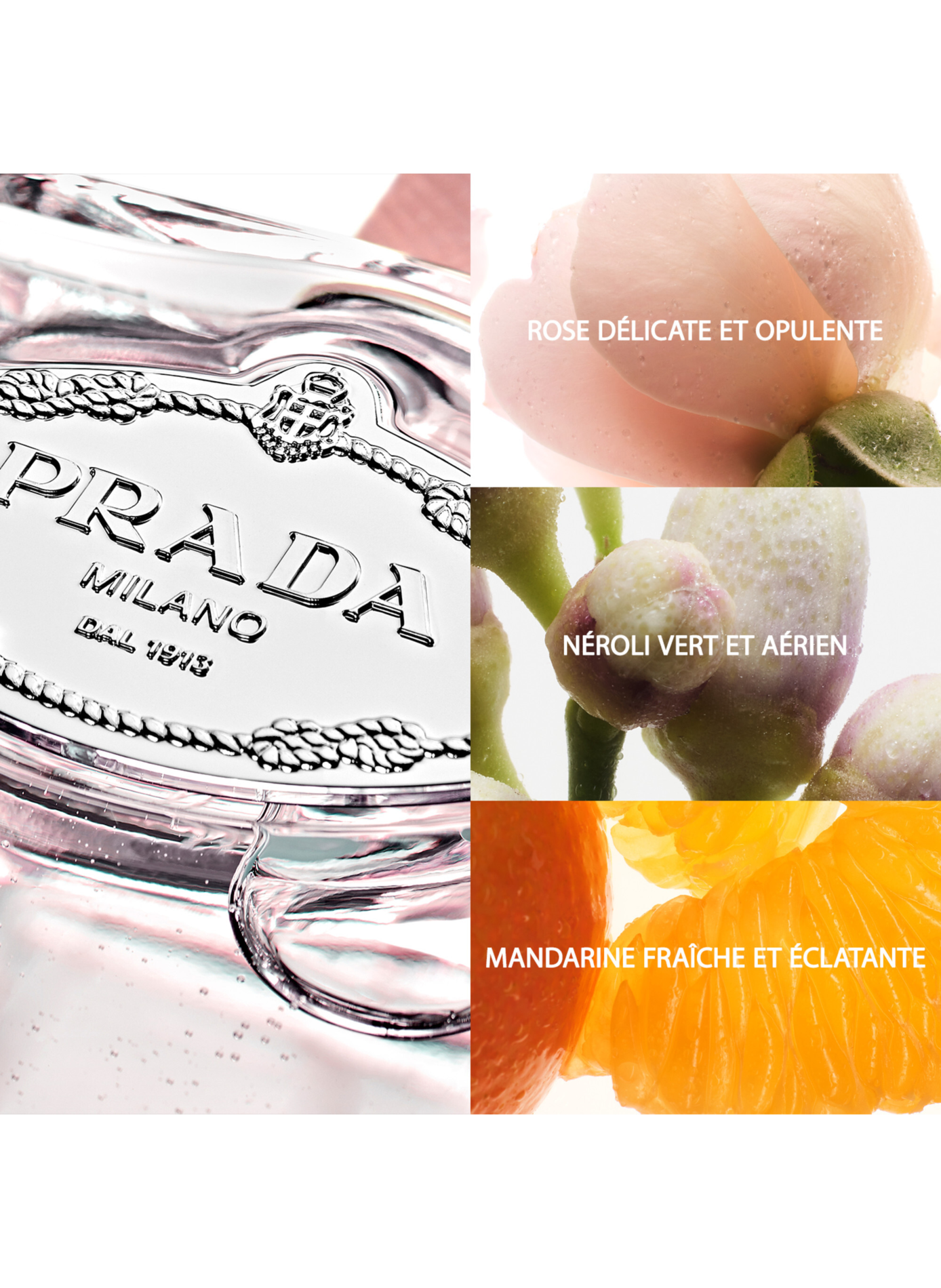 Die Infusionen - Grüne florale elegante Eau de Parfum PRADA No color