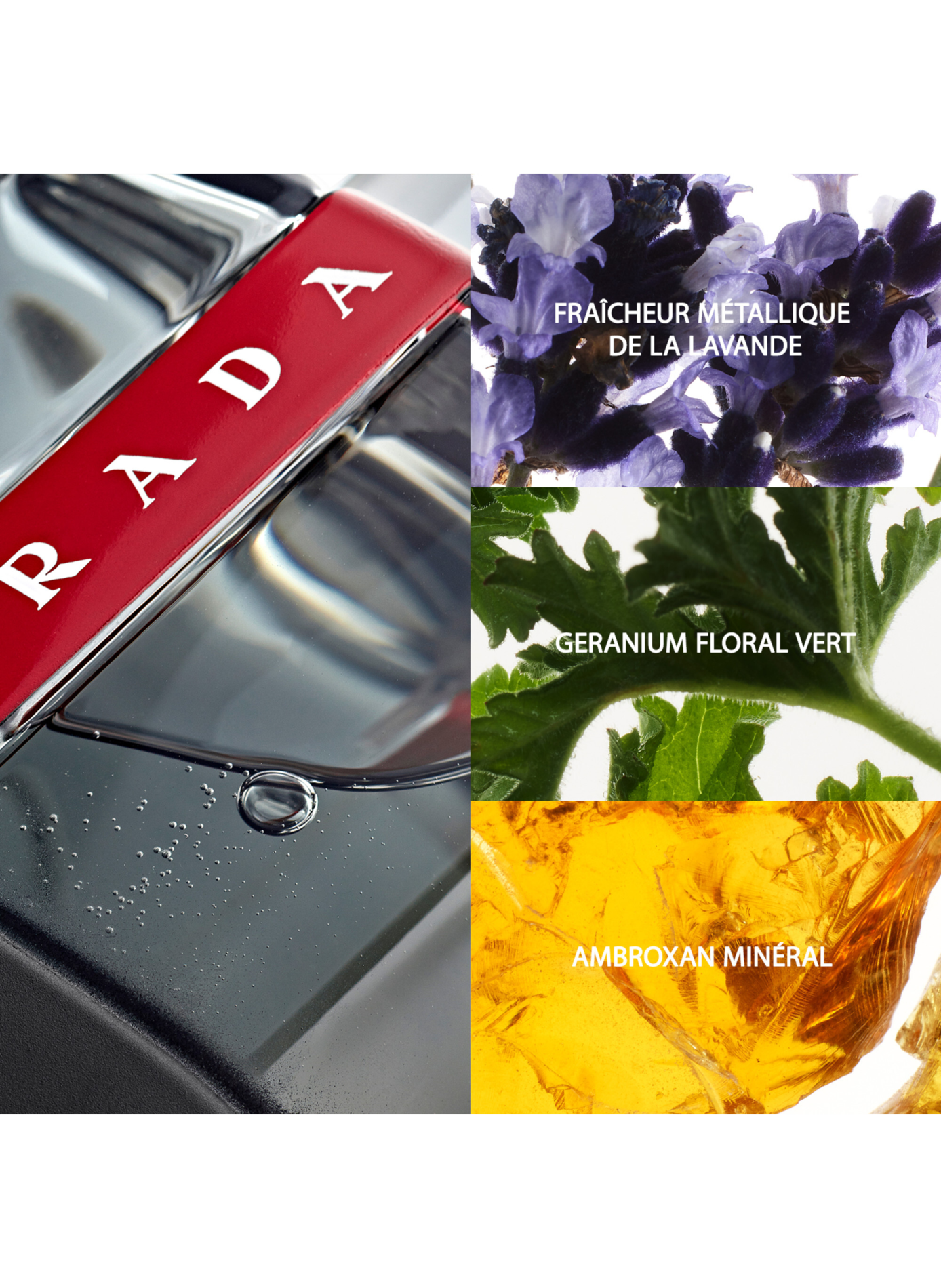 Luna Rossa - Holzig-mineralischer Fougère Herrenduft PRADA No color