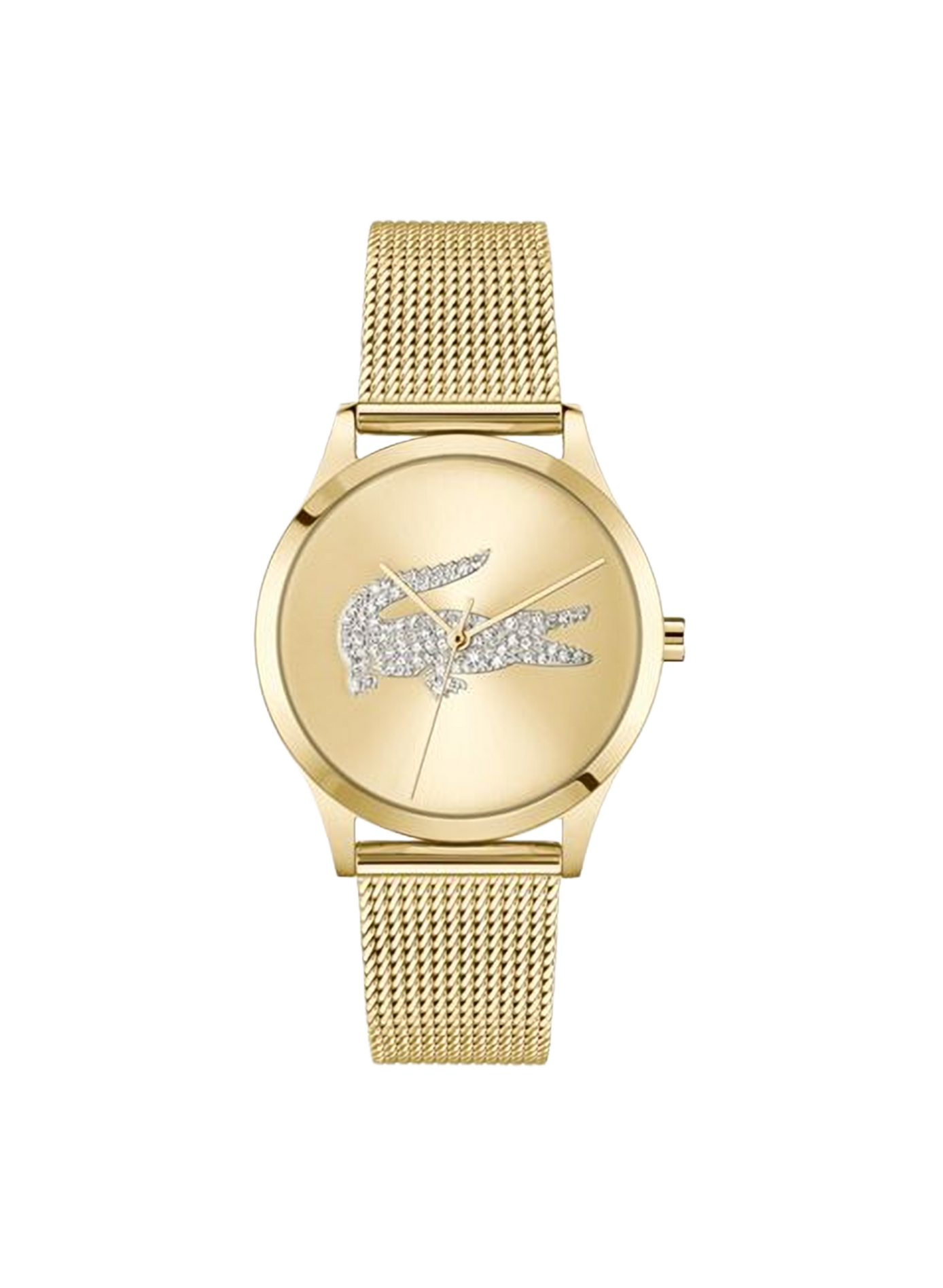 Montre quartz Crocodelle en acier inoxydable LACOSTE MONTRES Doré