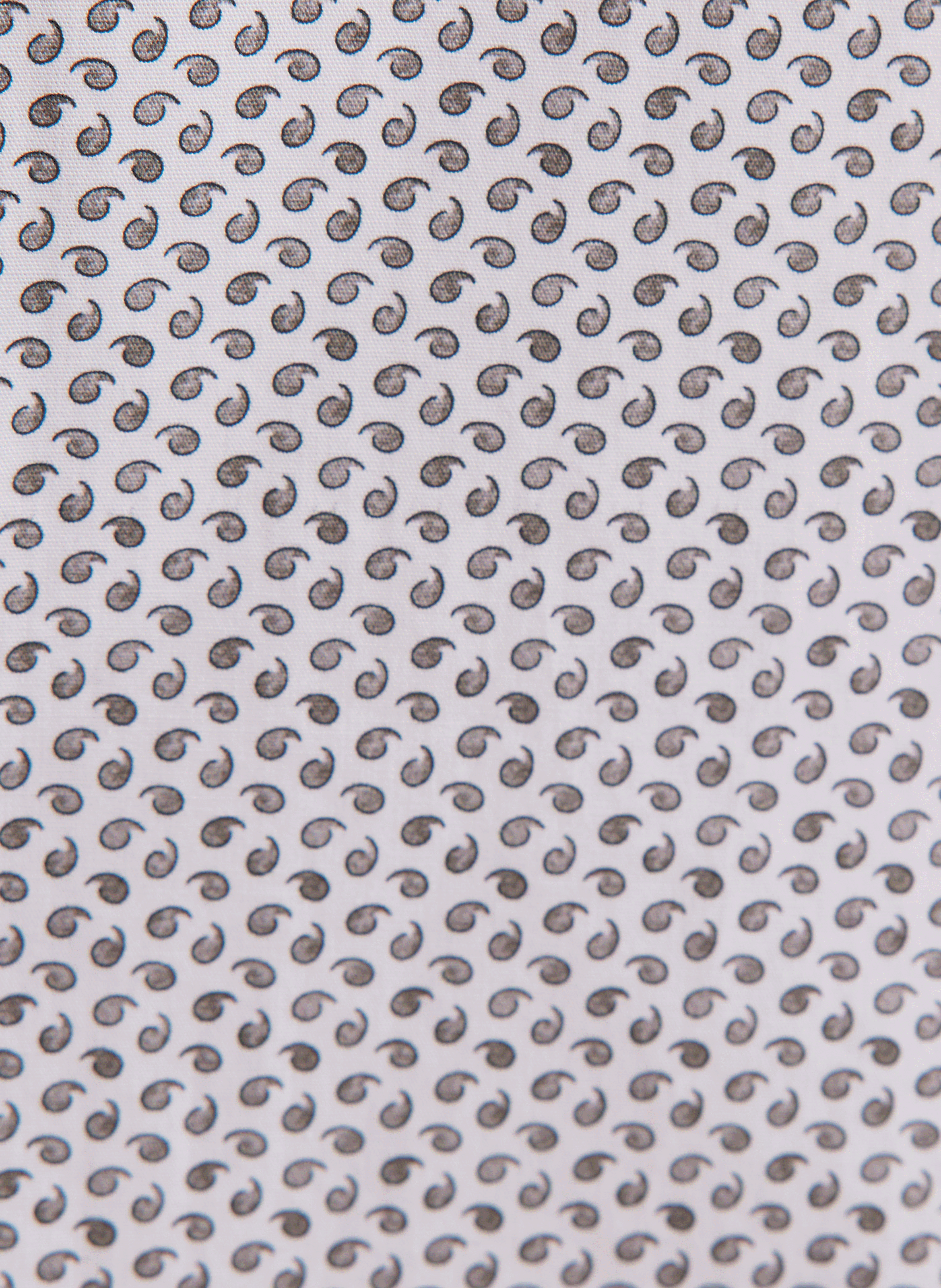 Chemise col classique manches contrastantes en coton SEIDENSTICKER Brown