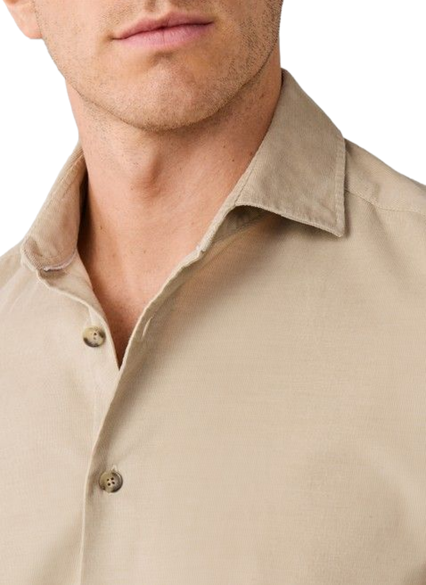 Gerade geschnittenes Hemd mit klassischem Kragen aus Baumwolle | Beige HACKETT Herren