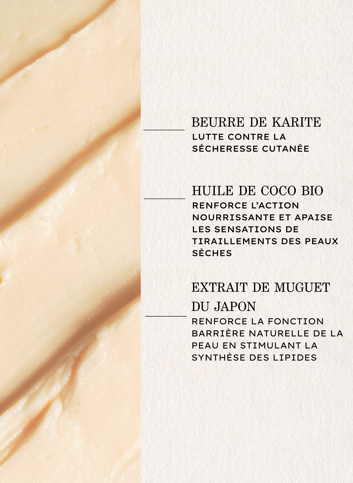 Generous Comfort Balm PAYOT No color