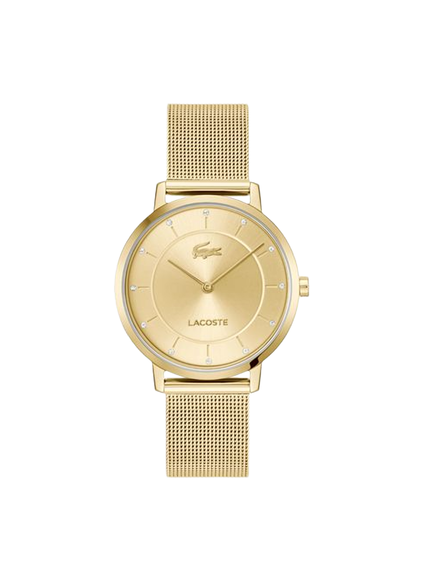 Montre quartz Crocorigin en acier inoxydable LACOSTE MONTRES Doré