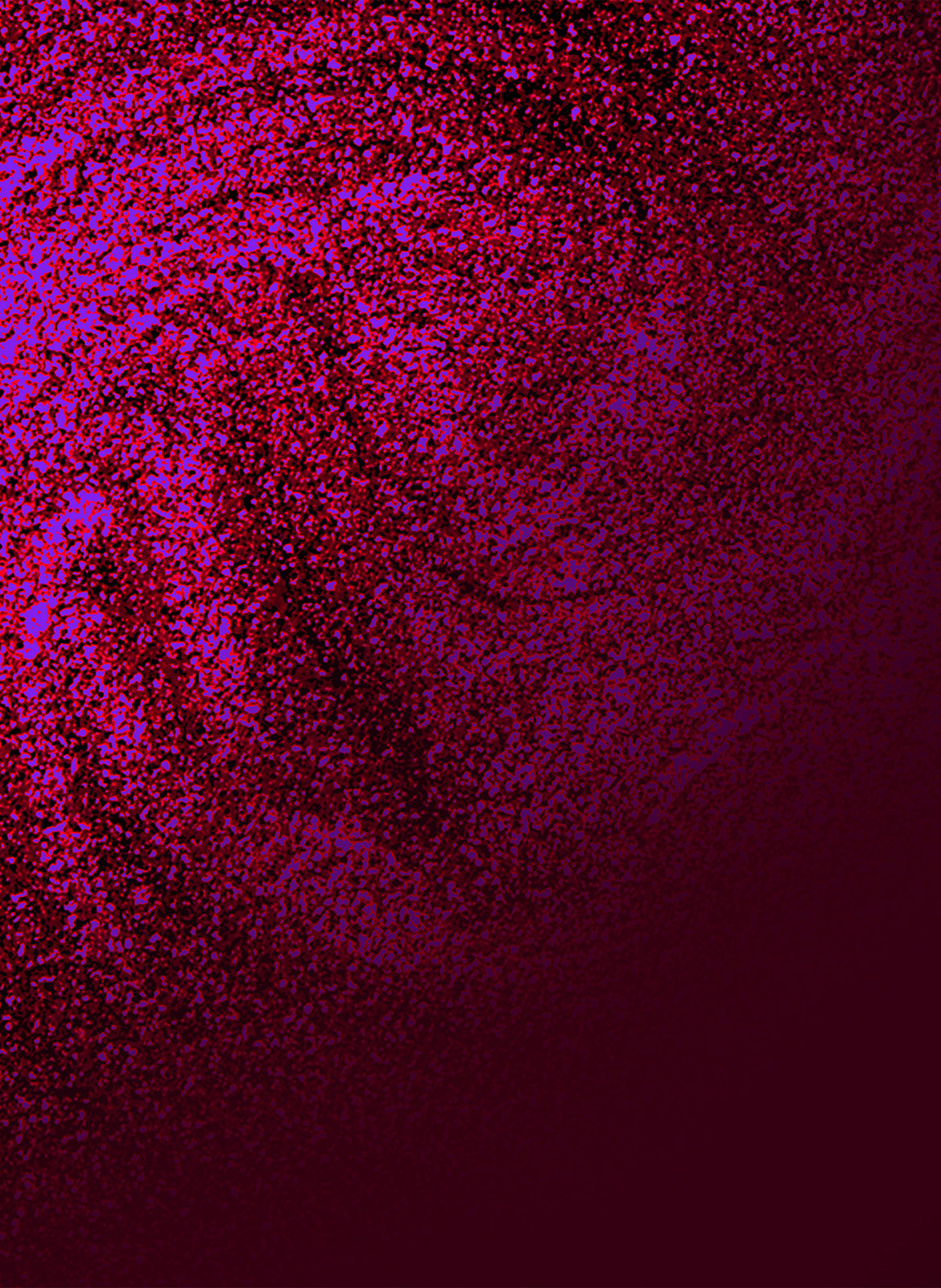 Lincoln Park After Brunch OPI Violet foncé