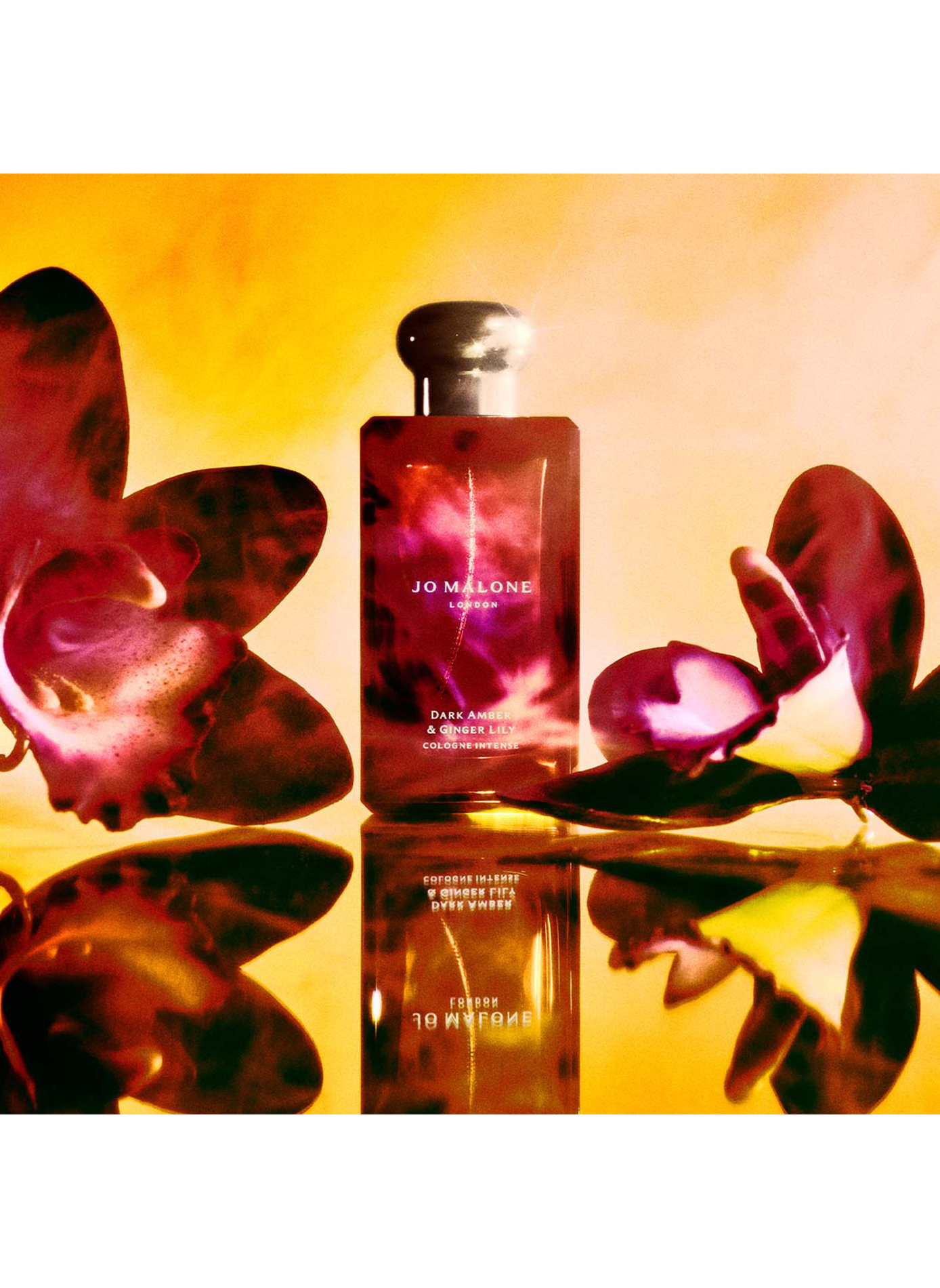 Donkere Amber & Gemberlelie - Parfum Intens JO MALONE LONDON No color
